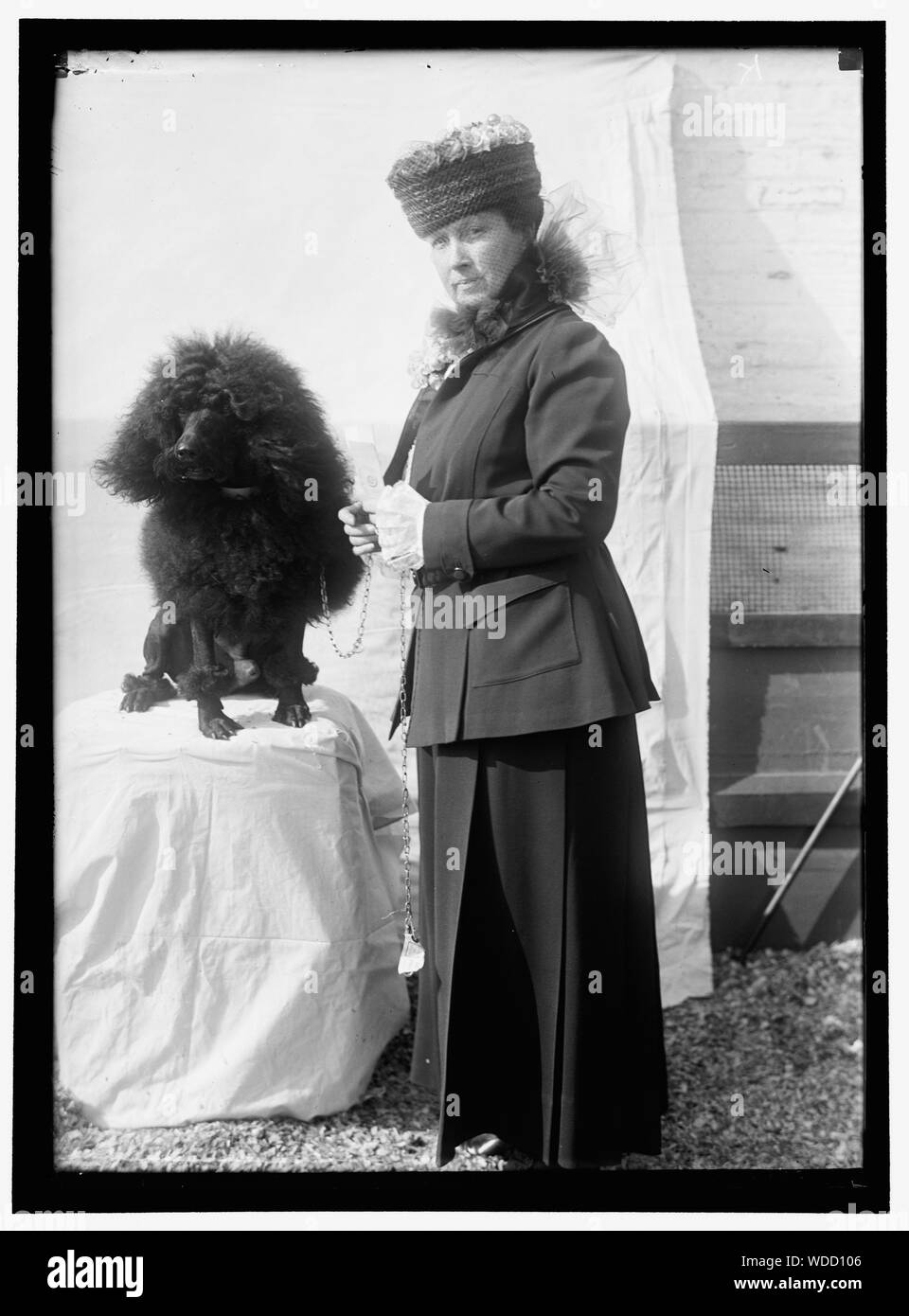 GOFF, FRAU., DOG SHOW Abstract / Medium: 1 Negativ: Glas 5 x 7 in. oder kleiner Stockfoto