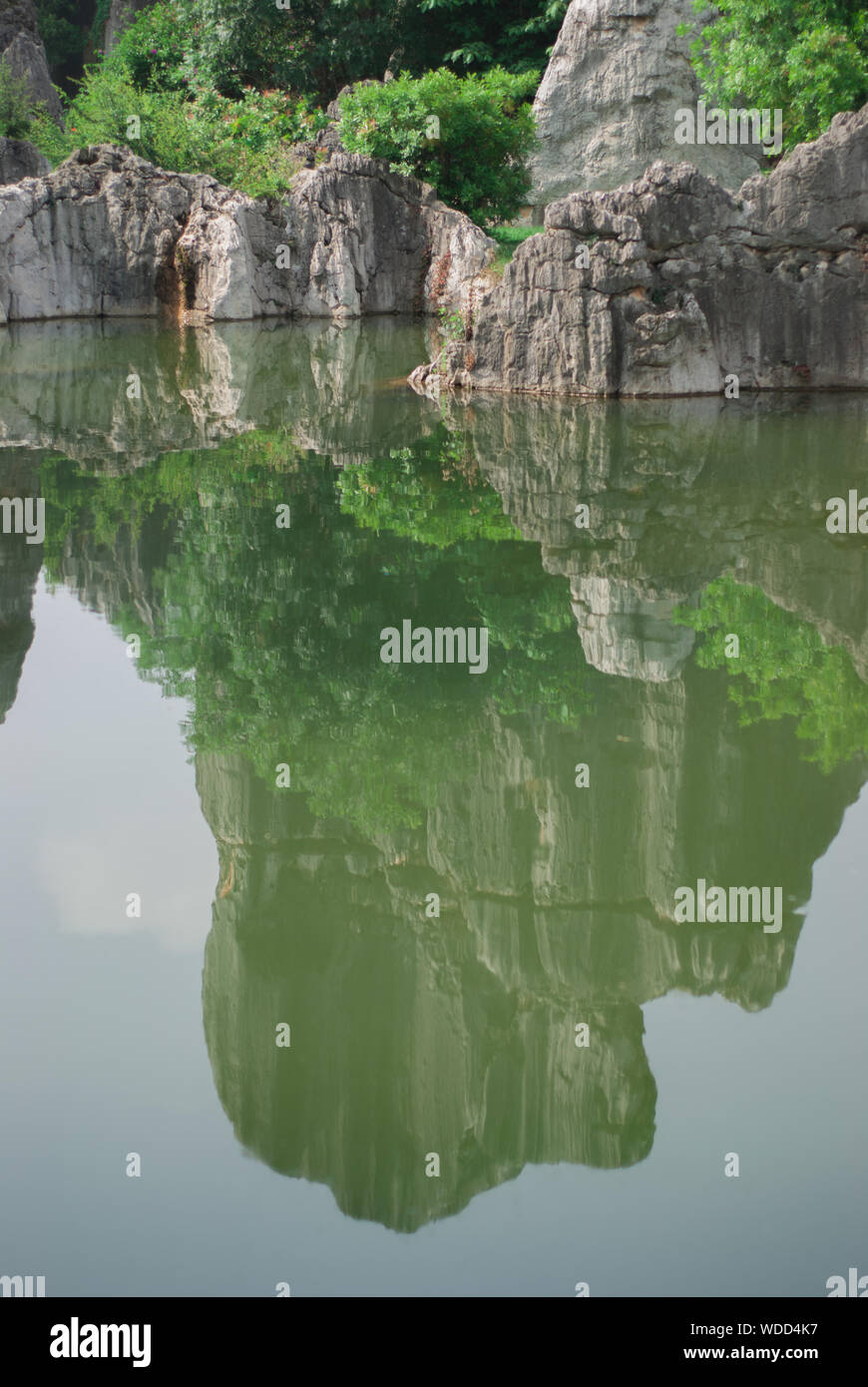 Stone Forest, Shilin, außerhalb von Kunming, China. Stockfoto