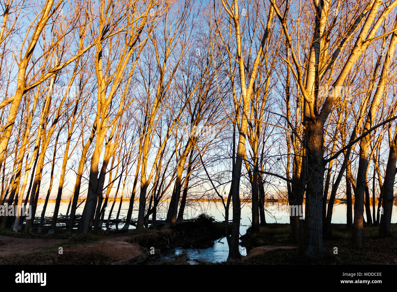 Landschaft in einem See bei Sonnenuntergang Stockfoto