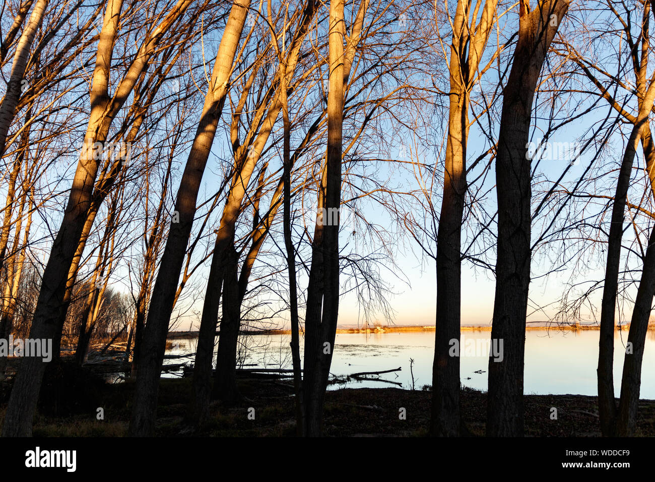 Landschaft in einem See bei Sonnenuntergang Stockfoto