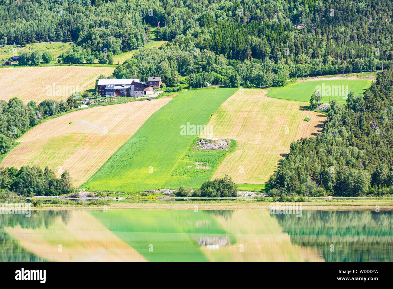 Norweigan Bauernhof auf einem Hügel mit bunten Felder Stockfoto