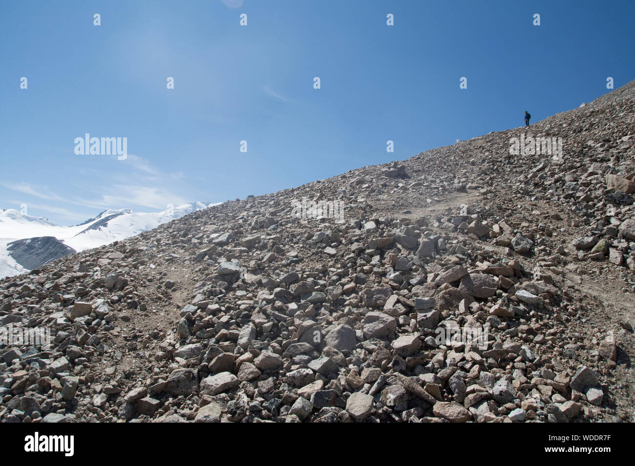 Man Trekking im Altai Tavan Bogd Nationalpark, Mongolei Stockfoto