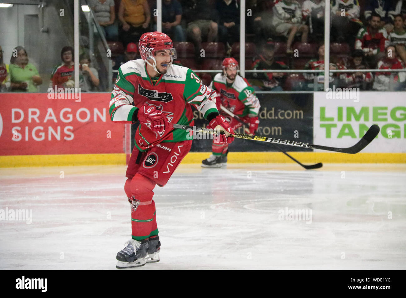 Bucht von Cardiff, Wales, UK. 25. August 2019. Die Cardiff Devils fallen gegen MAC-Ujbuda 2-4 während der preseason Match. © Natasha Camilleri Stockfoto