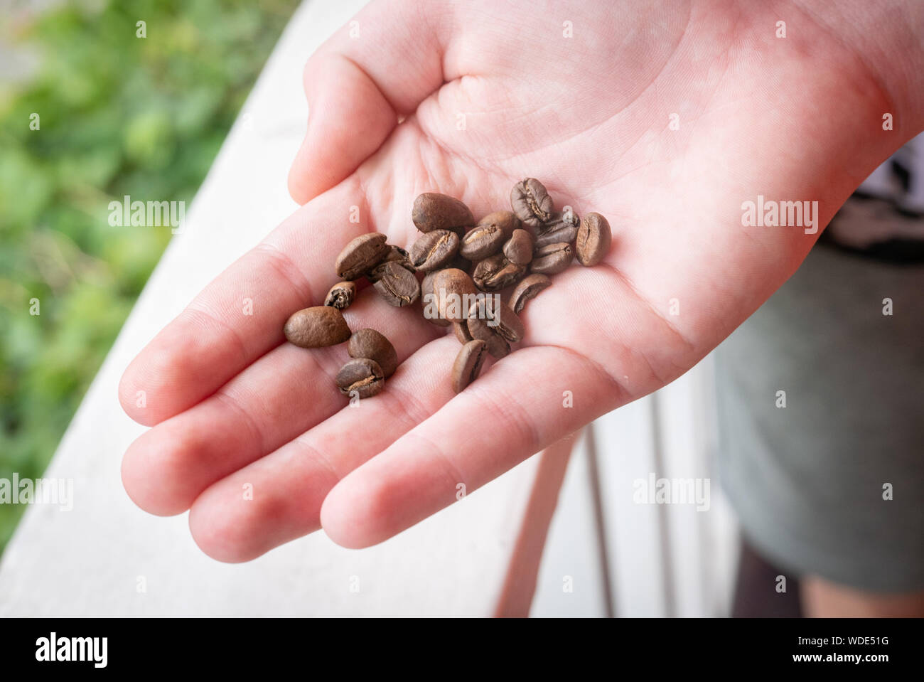 Jamaika Stockfoto