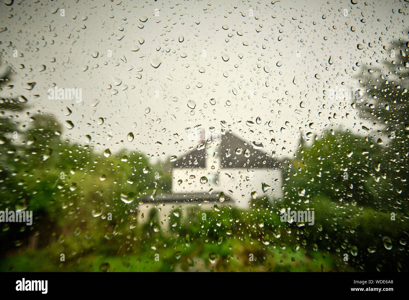 Moody und melancholischer Blick aus dem Fenster in einen Garten mit einem Haus mit Regen fällt auf einen verregneten Sommertag Stockfoto