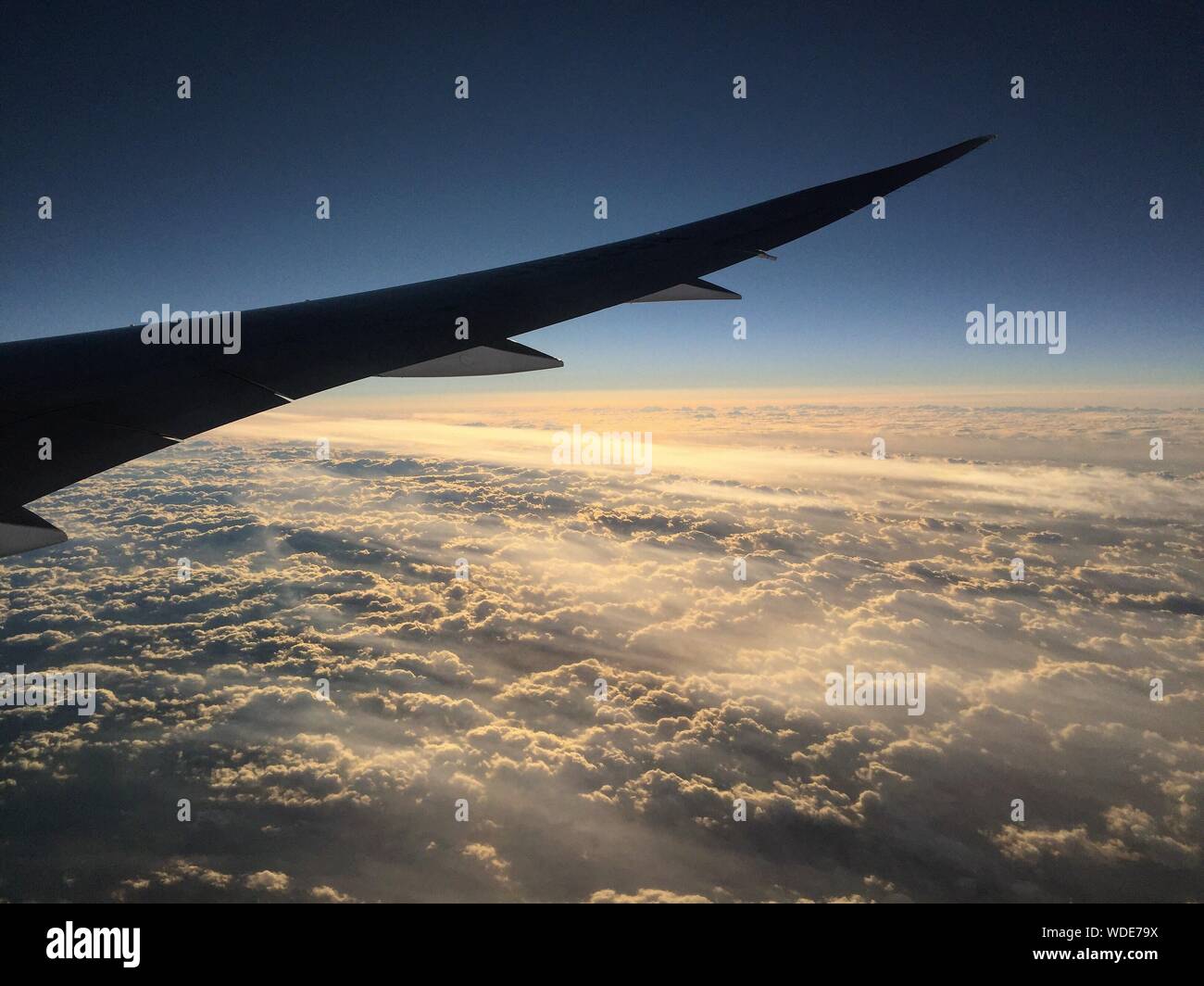 Flugzeugflügel gegen Himmel bei Sonnenuntergang Stockfoto