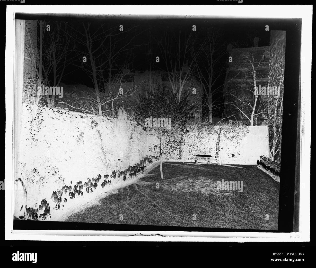 General William Crozier House, 1735 Massachusetts Ave., NW, Washington, D.C. Hyazinthe Grenze und Rasen Abstract / Medium: 1 Foto: Glas negative, b&w 3.25 x 4 in. Stockfoto