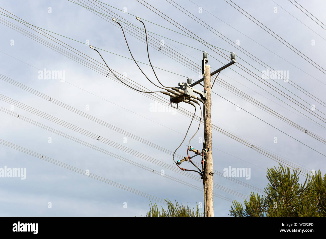 Einzigartige Strommast zu hängenden Linien oben befestigt. Stockfoto