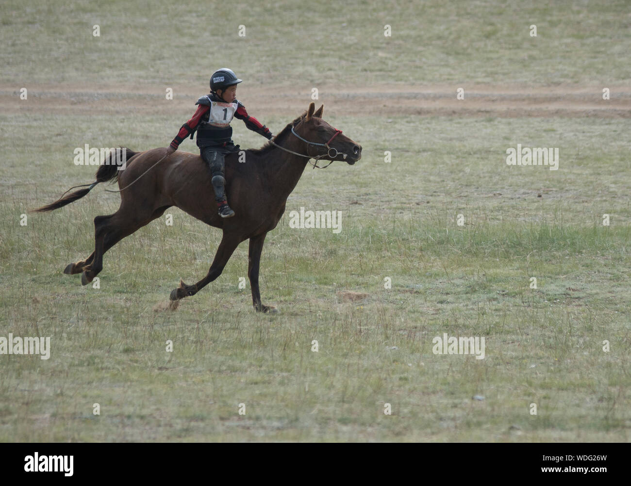 Reiter Naadam Pferderennen Wettbewerb, Mongolei Stockfoto