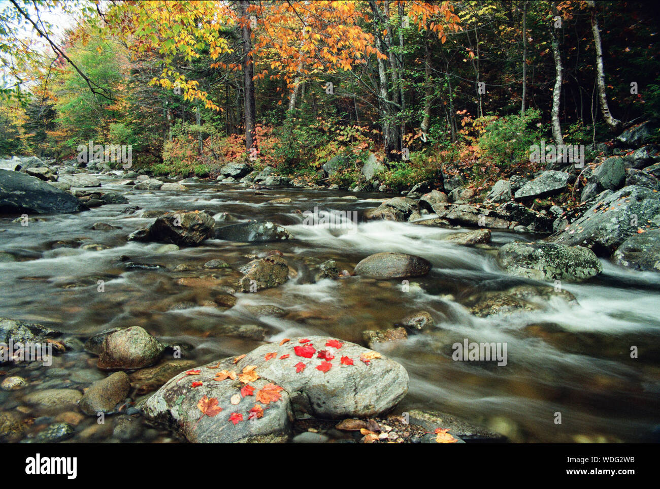 Peabody River in den White Mountains von New Hampshire Stockfoto