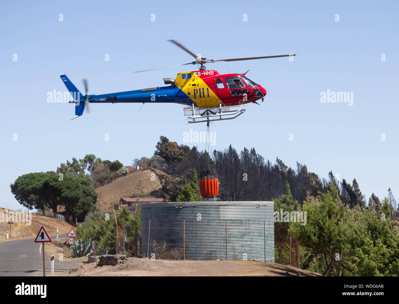 Gran Canaria, Kanarische Inseln, Spanien. 29 August, 2019. Nach einem riesigen Wald Feuer (inzwischen geloescht), die am 17. August begonnen und für mehr als eine Woche wütete, ist der Zugriff auf Bergstraßen und einige Wanderwege auf Gran Canaria wieder eröffnet. Tausende von Menschen in den Bergdörfern wurden während des Feuers evakuiert. Bild': ein Hubschrauber nimmt Wasser aus einem Tank in der Nähe von verkohlten Pinien in den Bergen von Gran Canaria zu sprühen, Bereiche in der Gefahr des reingniting durch Winde und hohe Temperaturen zu stong. Credit: Alan Dawson/Alamy leben Nachrichten Stockfoto