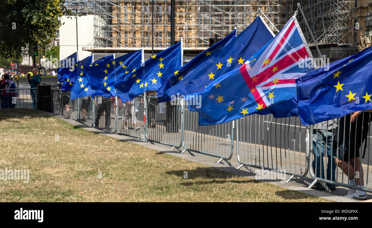 London, Großbritannien. 29 Aug, 2019. Anti Brexit Demonstranten in Whitehall London UK Credit: Ian Davidson/Alamy leben Nachrichten Stockfoto