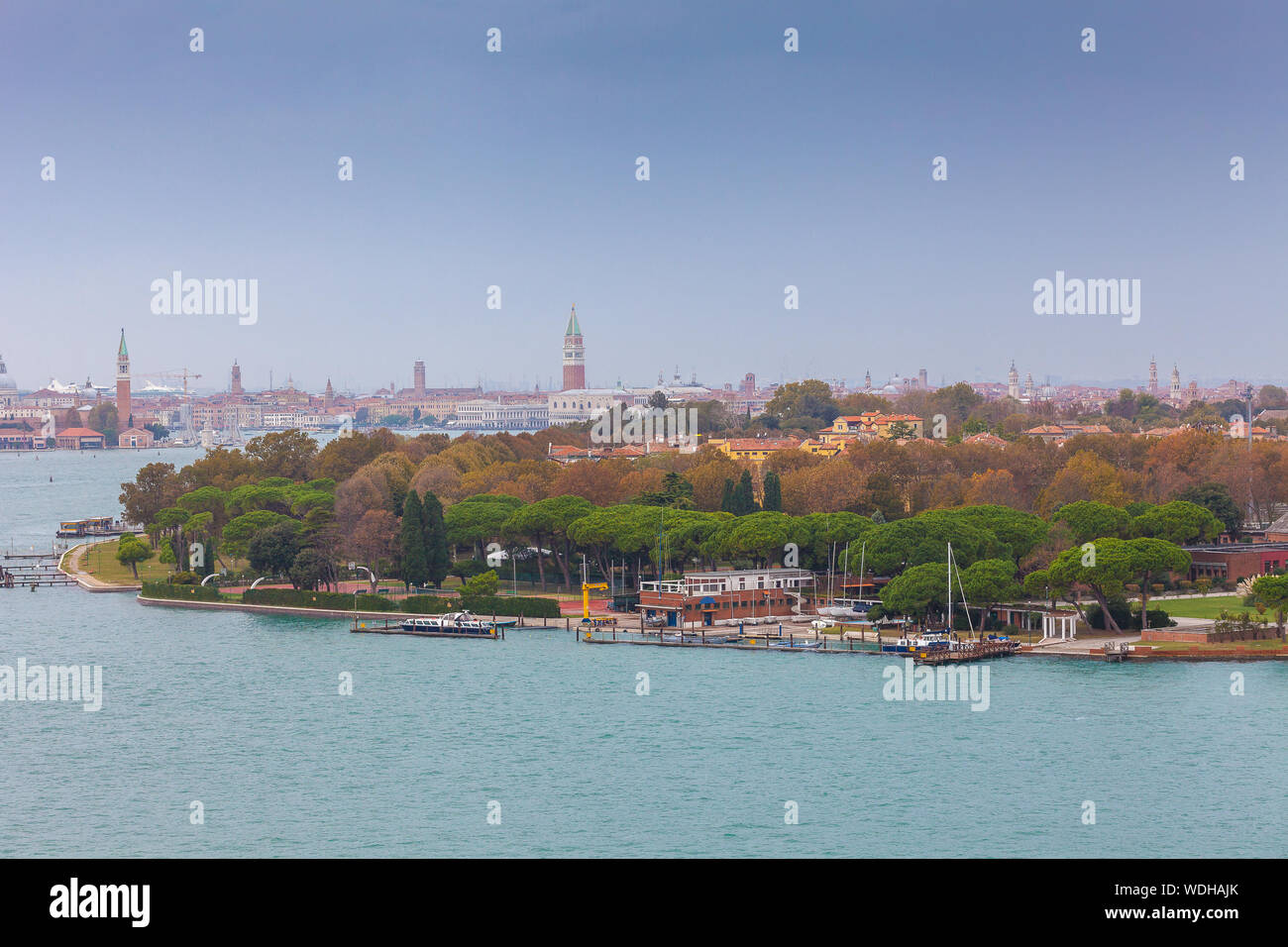 Herbst - farbige Bäume in Gärten der Biennale, Venedig Stockfoto