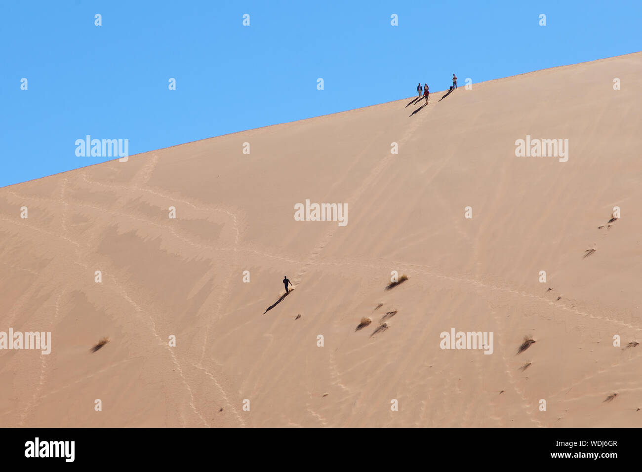 Dune Läufer - Big Mama Namibia Stockfoto