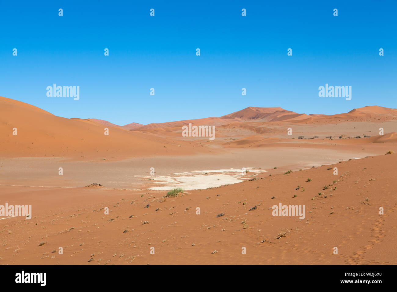 Namib-Wüste Stockfoto