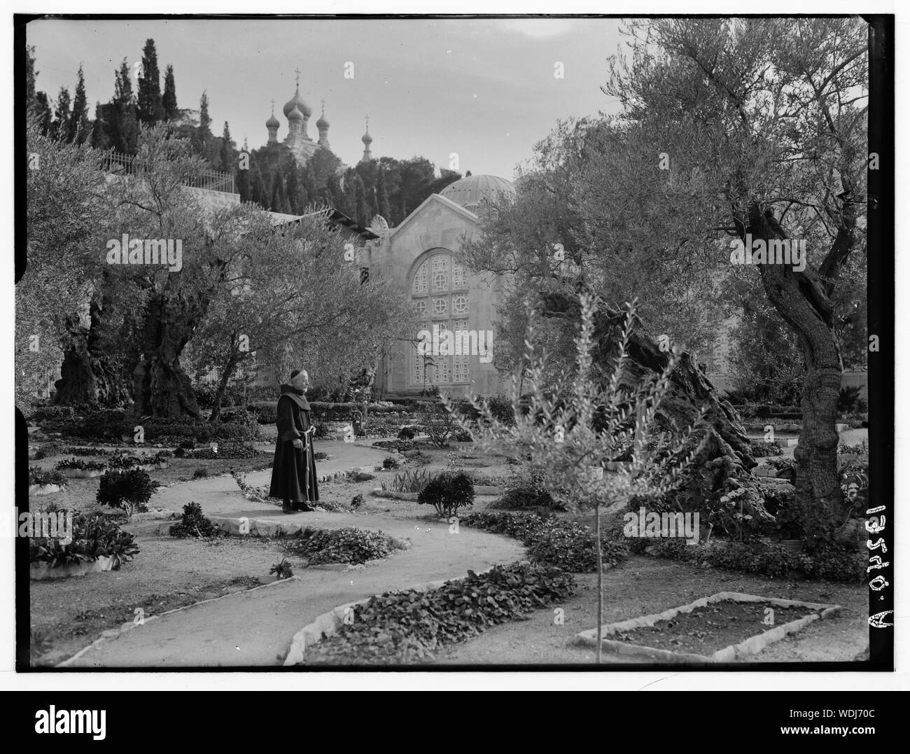 Im Garten Gethsemane, Abstract / Medium: G. Eric und Edith Matson Fotosammlung Stockfoto