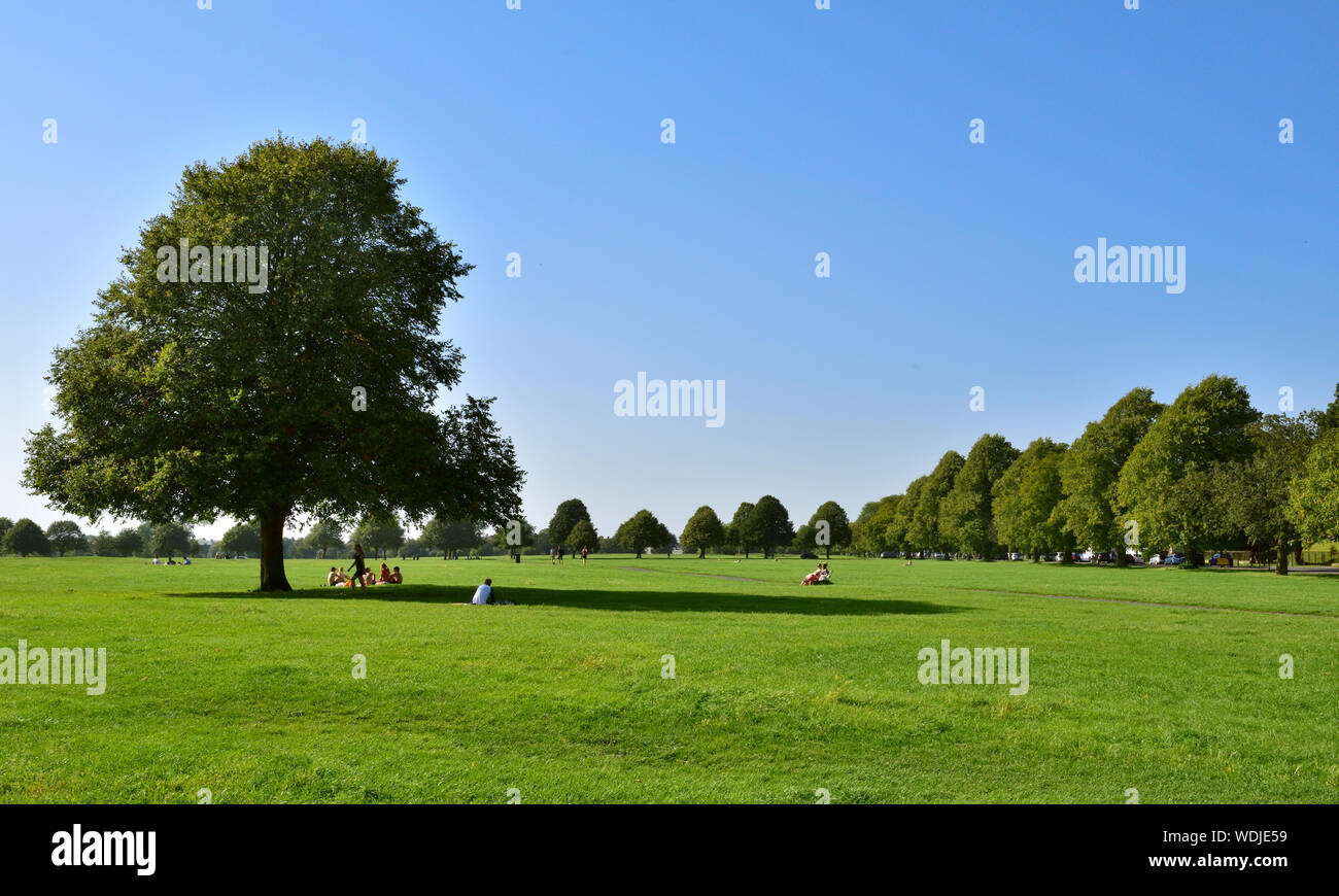 Rasen und Bäume mit Menschen entspannen in der Sonne auf Bristol Durdham Downs öffentlichen City Park, Großbritannien Stockfoto