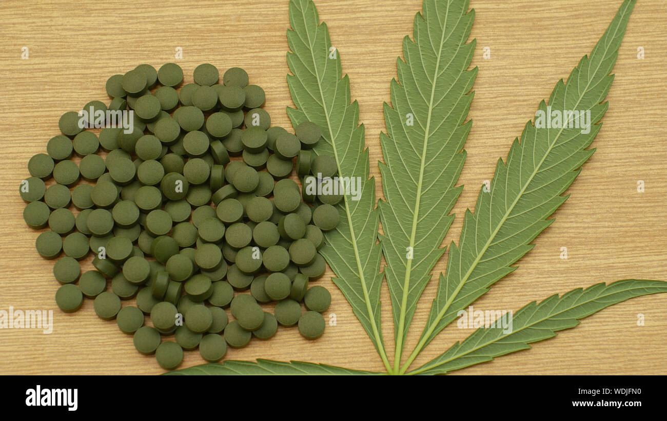 Cannabis Tabletten medizinische Kapseln oder Pillen Hanf und Blatt  cannabidiol CBD getrocknet geerntet von Saatgut Qualität für die  Herstellung von Salben entwickelt Stockfotografie - Alamy