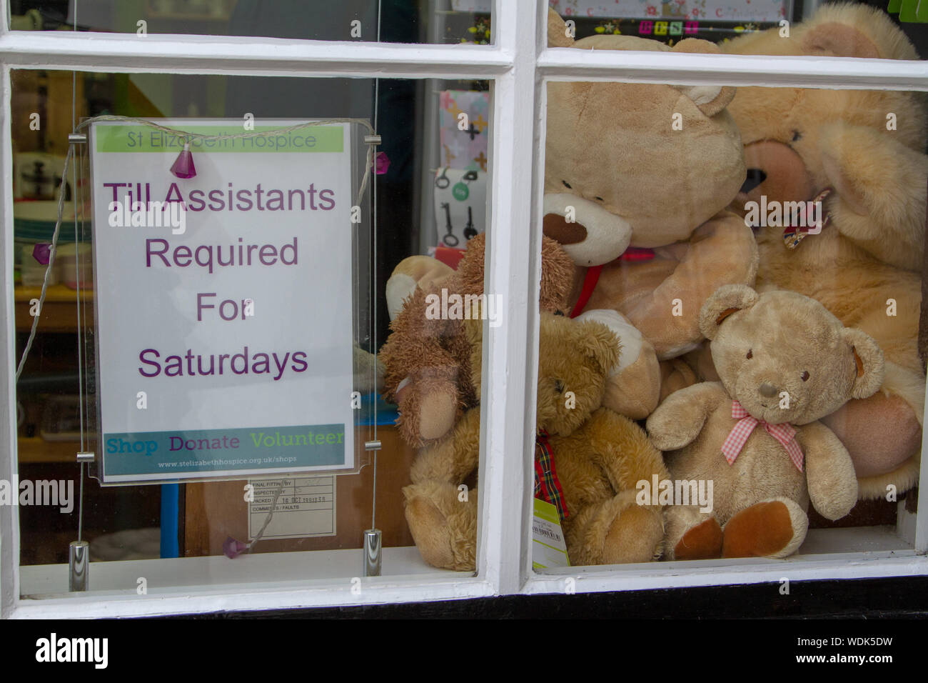 Liebe Schaufenster mit Teddybären voll Stockfoto