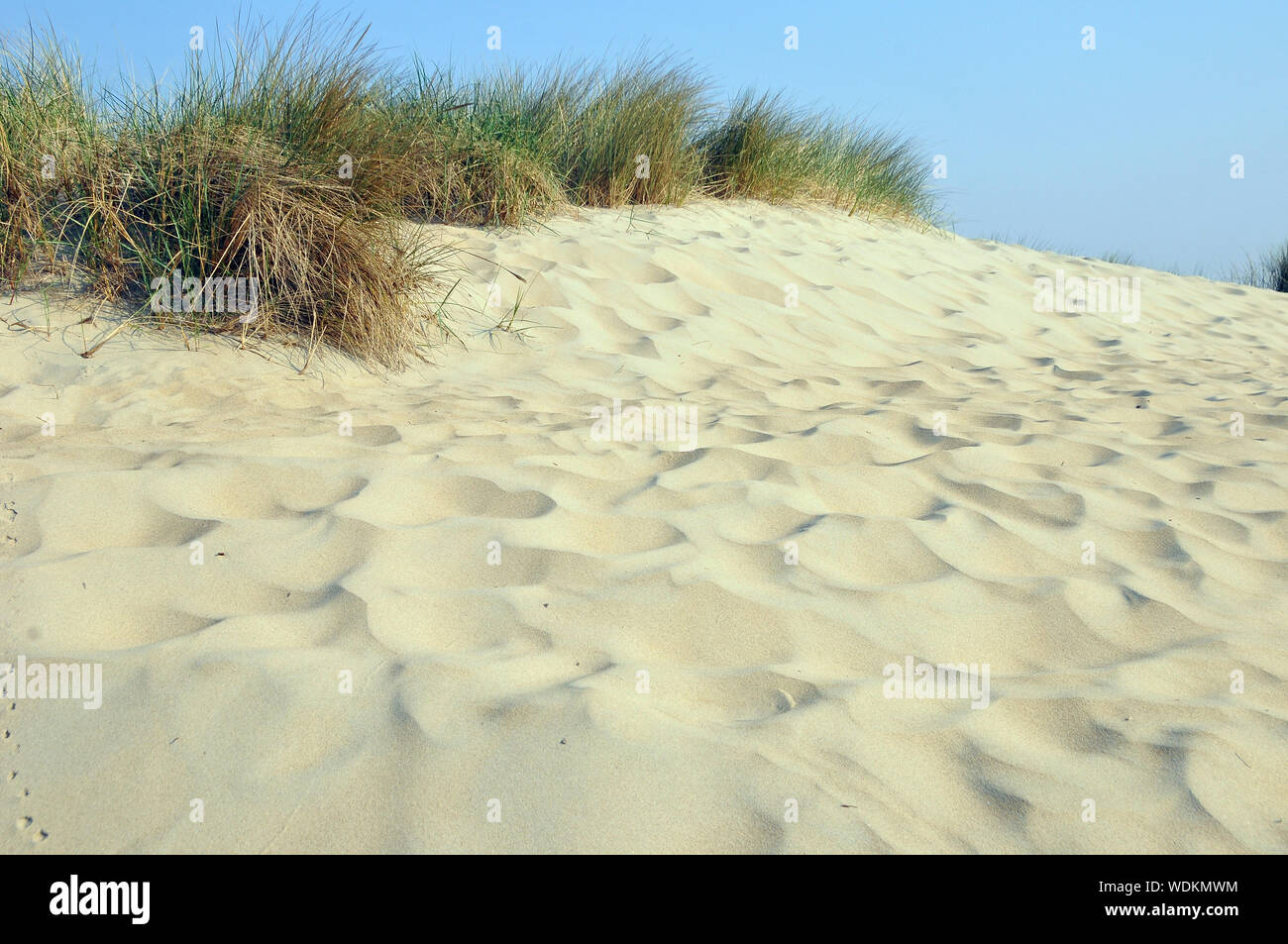 Sandstrand, Nieuw-Haamstede, Zeeland, Niederlande, Europa Stockfoto