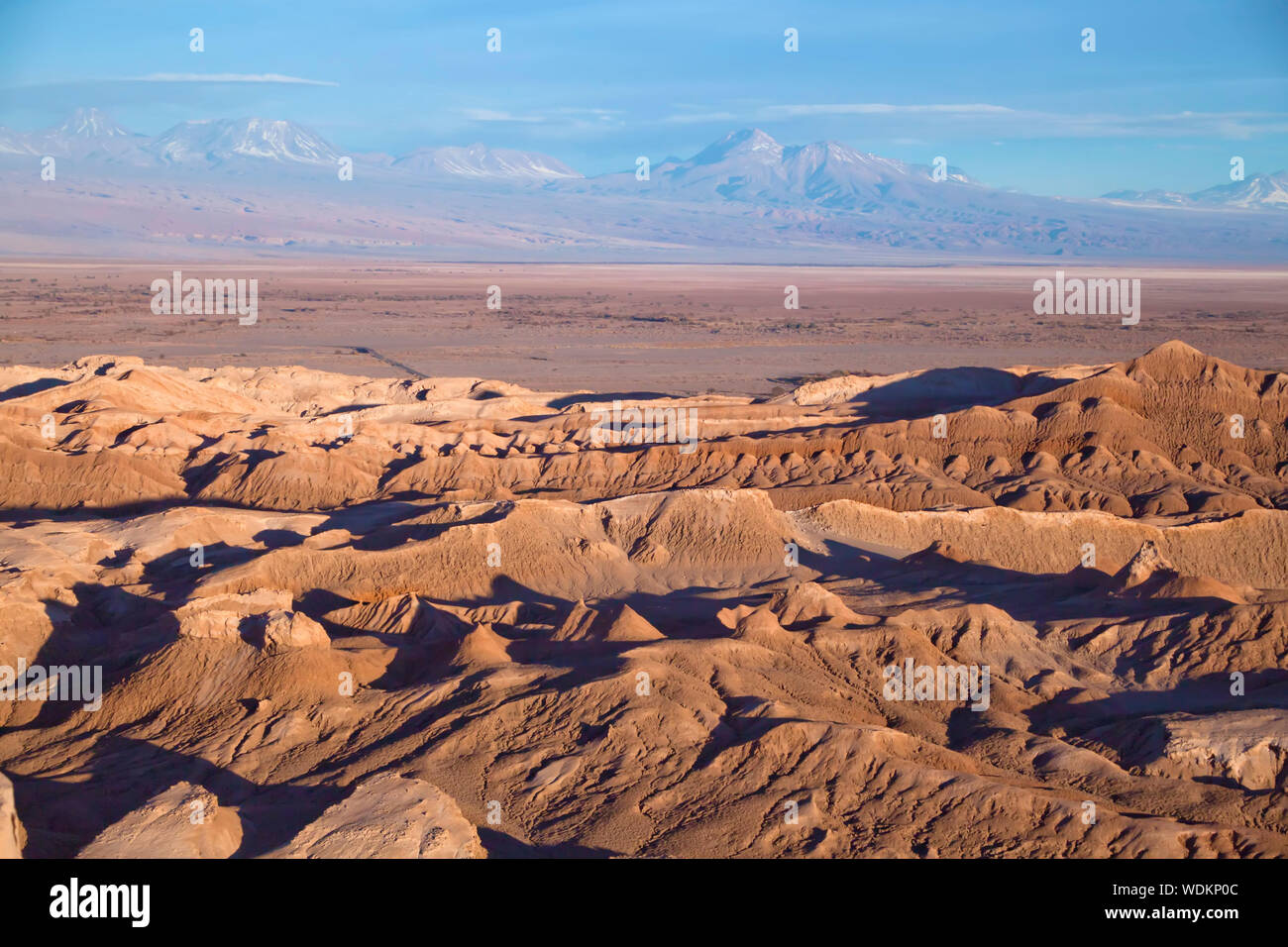 Atacama Wuste Chile Stockfotografie Alamy