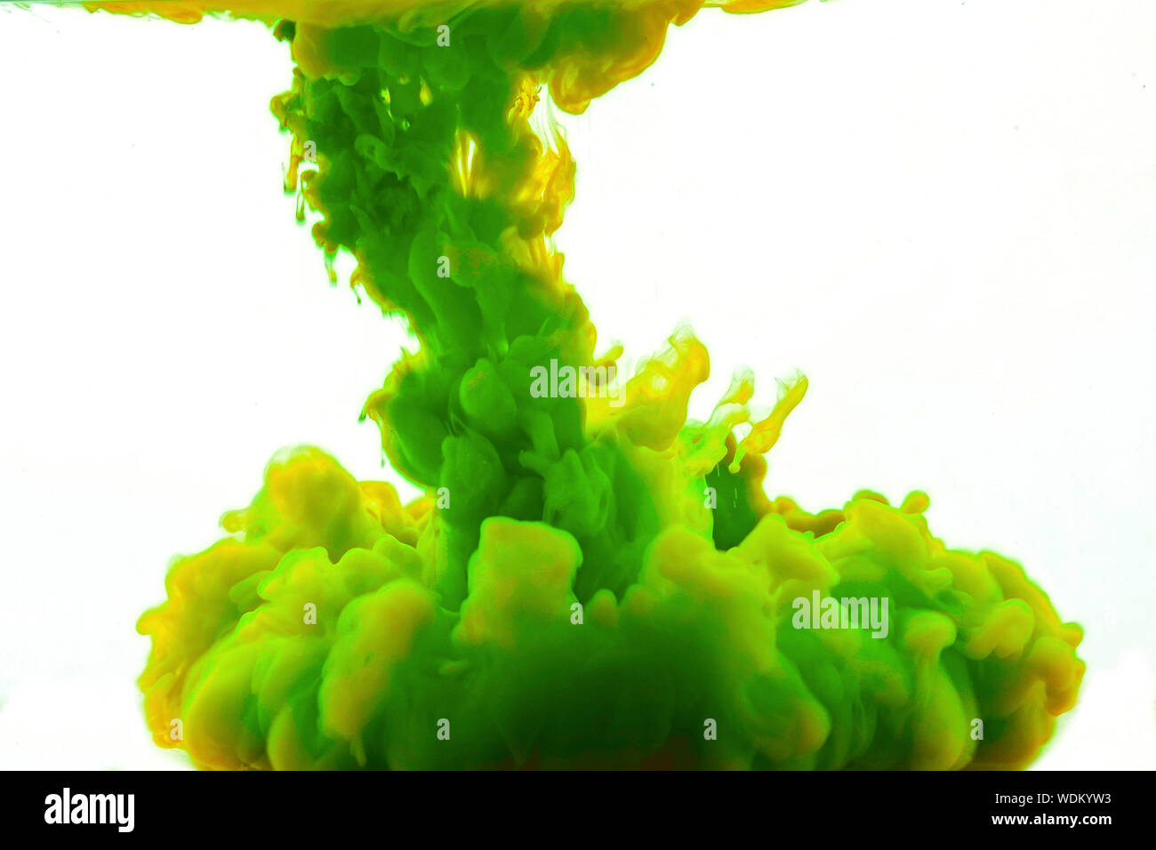 Explosion der Farbe Grün vor weißem Hintergrund Stockfoto