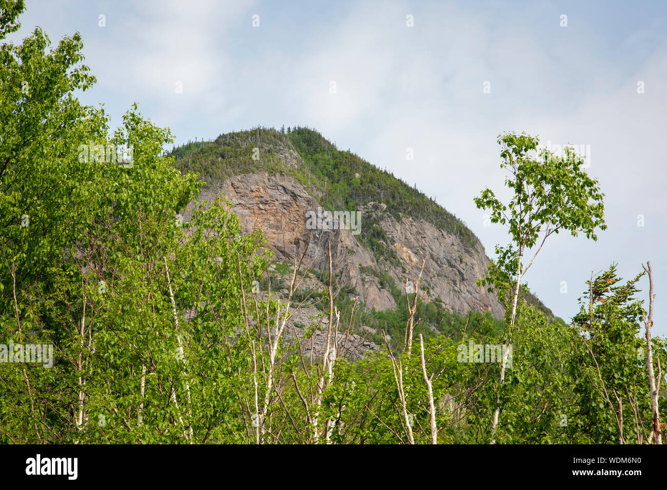 Gemalt Felsen (eine Spur von East Osceola) aus der Holz Camp Trail in Livermore, New Hampshire; Teil der Weißen Berge. Stockfoto