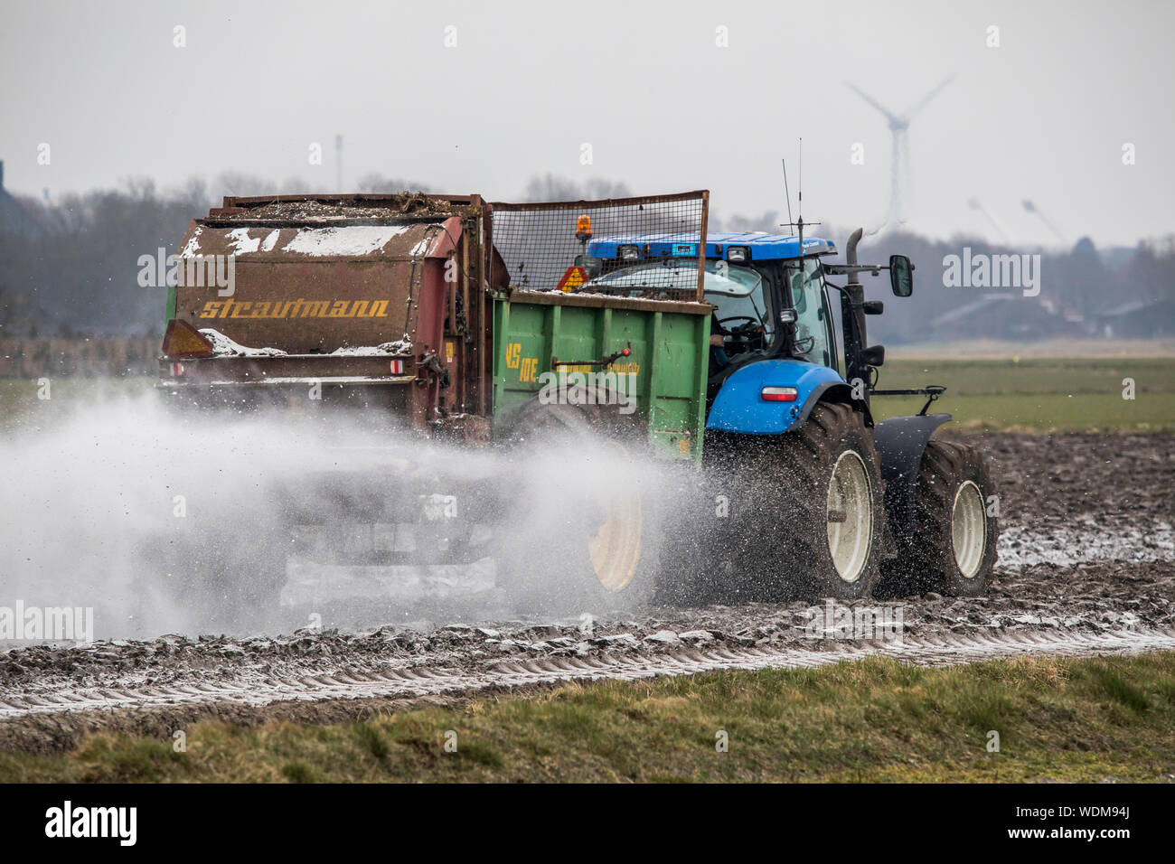 Ein Feld im Frühjahr befruchtet wird, einem Traktor gilt Dünger auf ein Feld Stockfoto