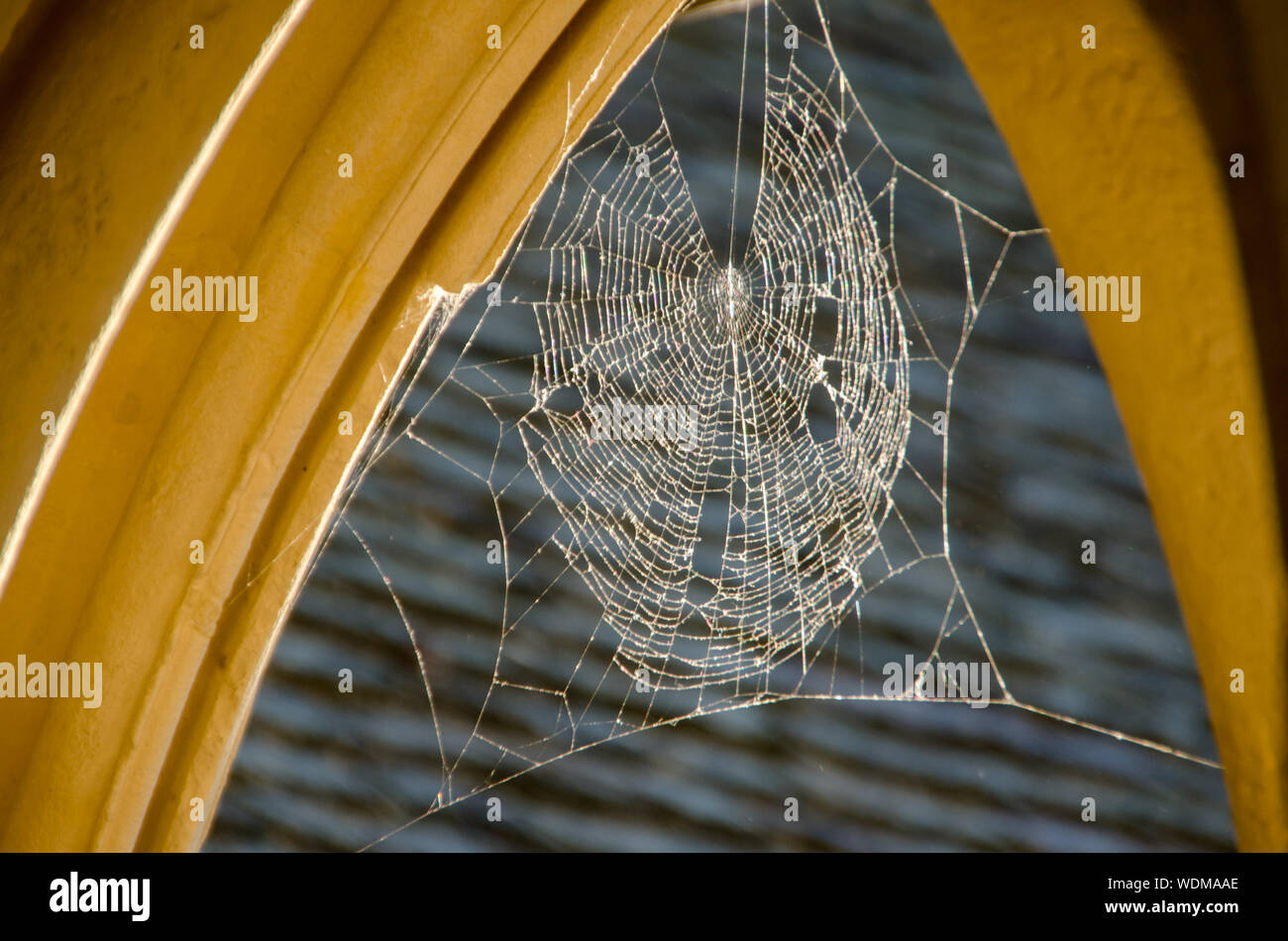 Detail der Bögen mit Spinnennetz in Mont Saint Michael. Stockfoto