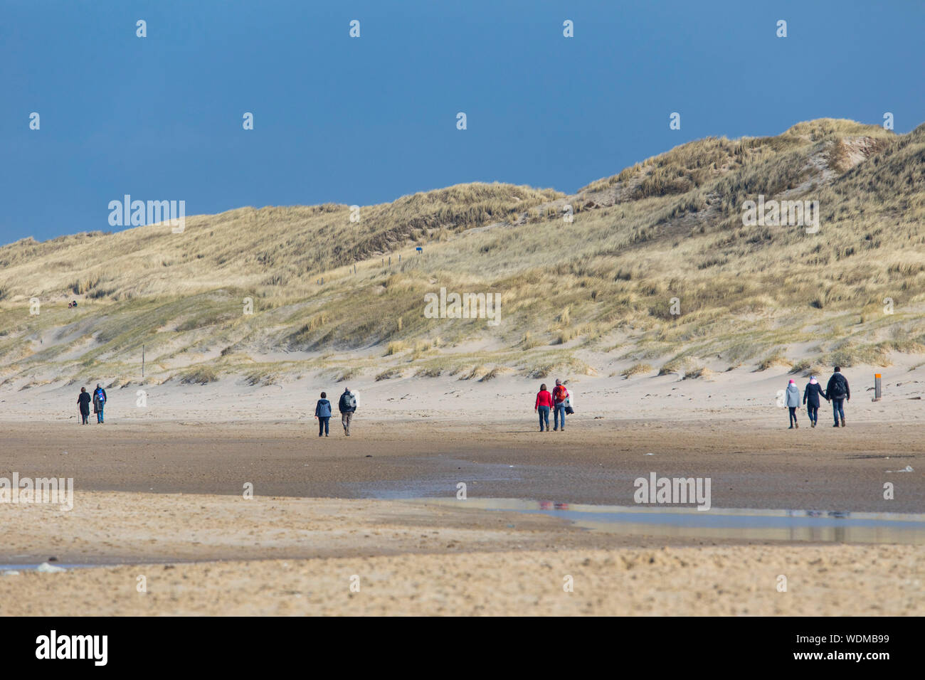 Walker auf der Nordsee strand von Egmond aan Zee, Nordholland, Niederlande, Stockfoto