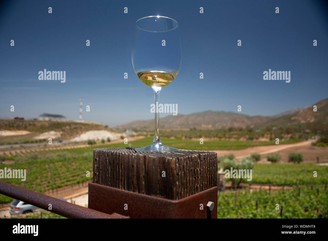 Glas serviert mit Weißwein in der bergigen Landschaft der vinicultural Felder in Baja California, Mexiko Stockfoto