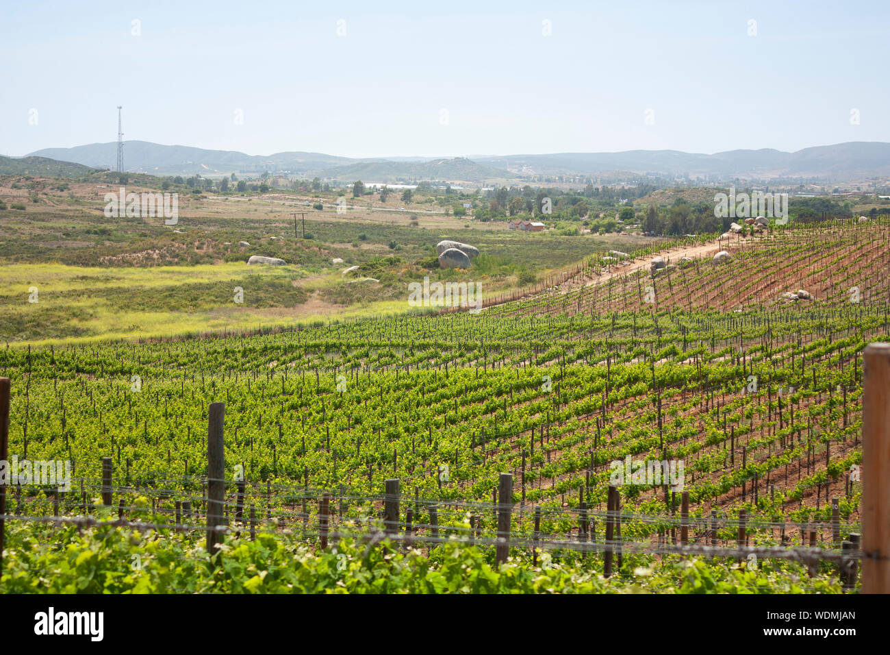 Landwirtschaft Und Weinbau Capos Mit Reben In Baja California Mexiko Gepflanzt Stockfotografie Alamy