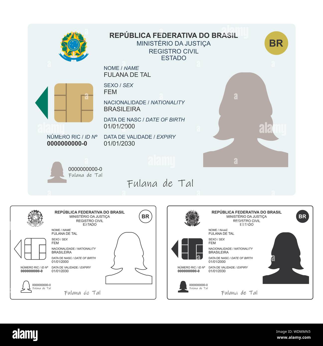 Neue ID-Karte. Nur grafische Darstellung, ohne Maßstab oder Präzision der ursprünglichen Elemente. Stock Vektor