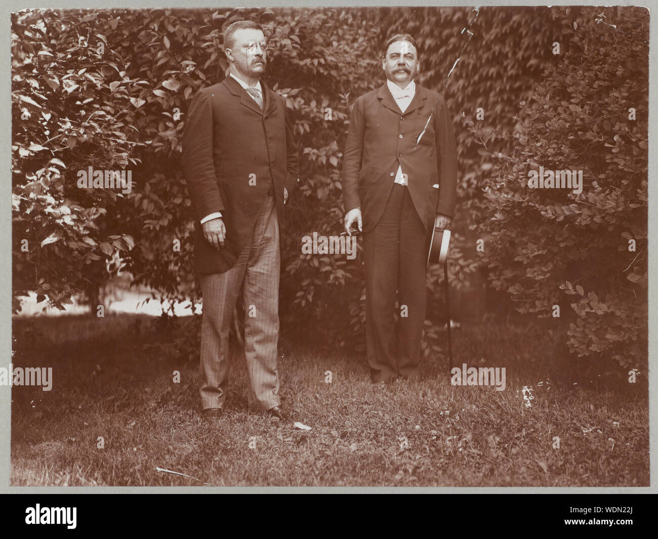 Reg. Roosevelt und Senator Wolcott Abstract / Medium: 1 Fotoabzug. Stockfoto