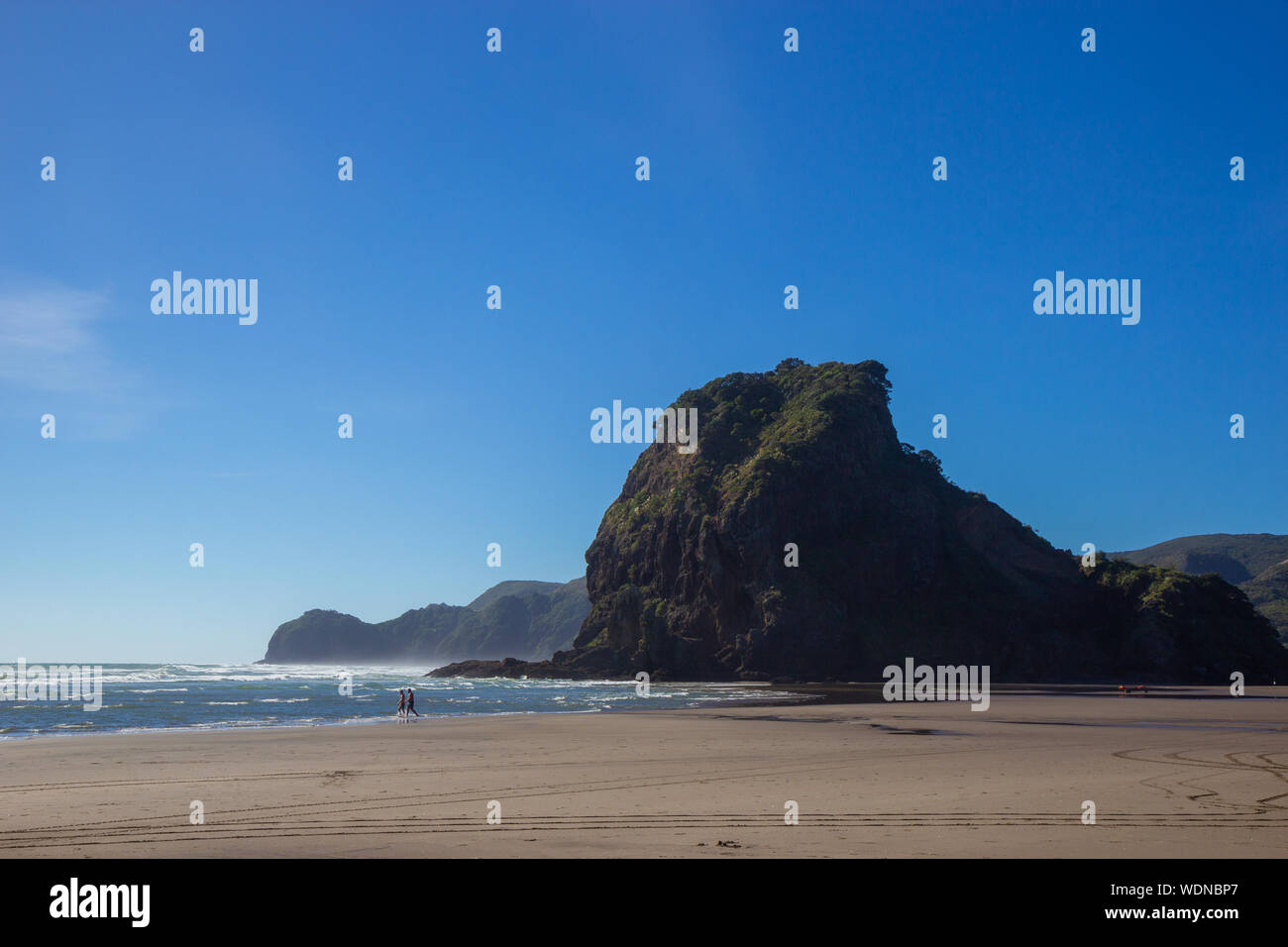 Blick auf sonnigen Piha Beach, Neuseeland Stockfoto