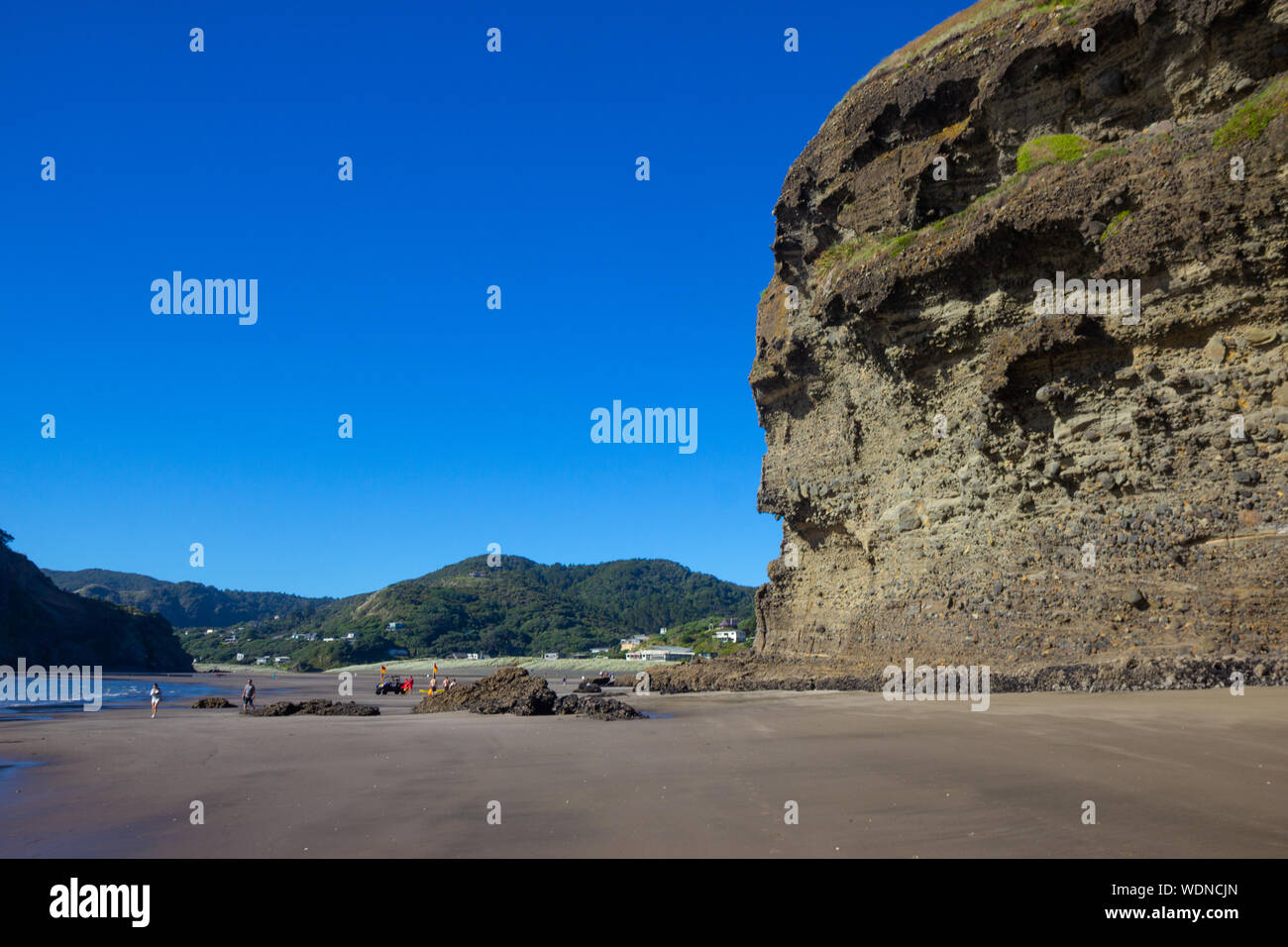 Blick auf sonnigen Piha Beach, Neuseeland Stockfoto