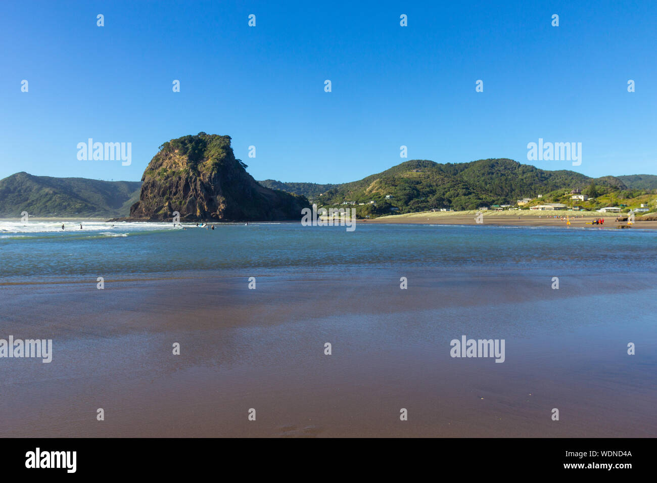 Blick auf sonnigen Piha Beach, Neuseeland Stockfoto
