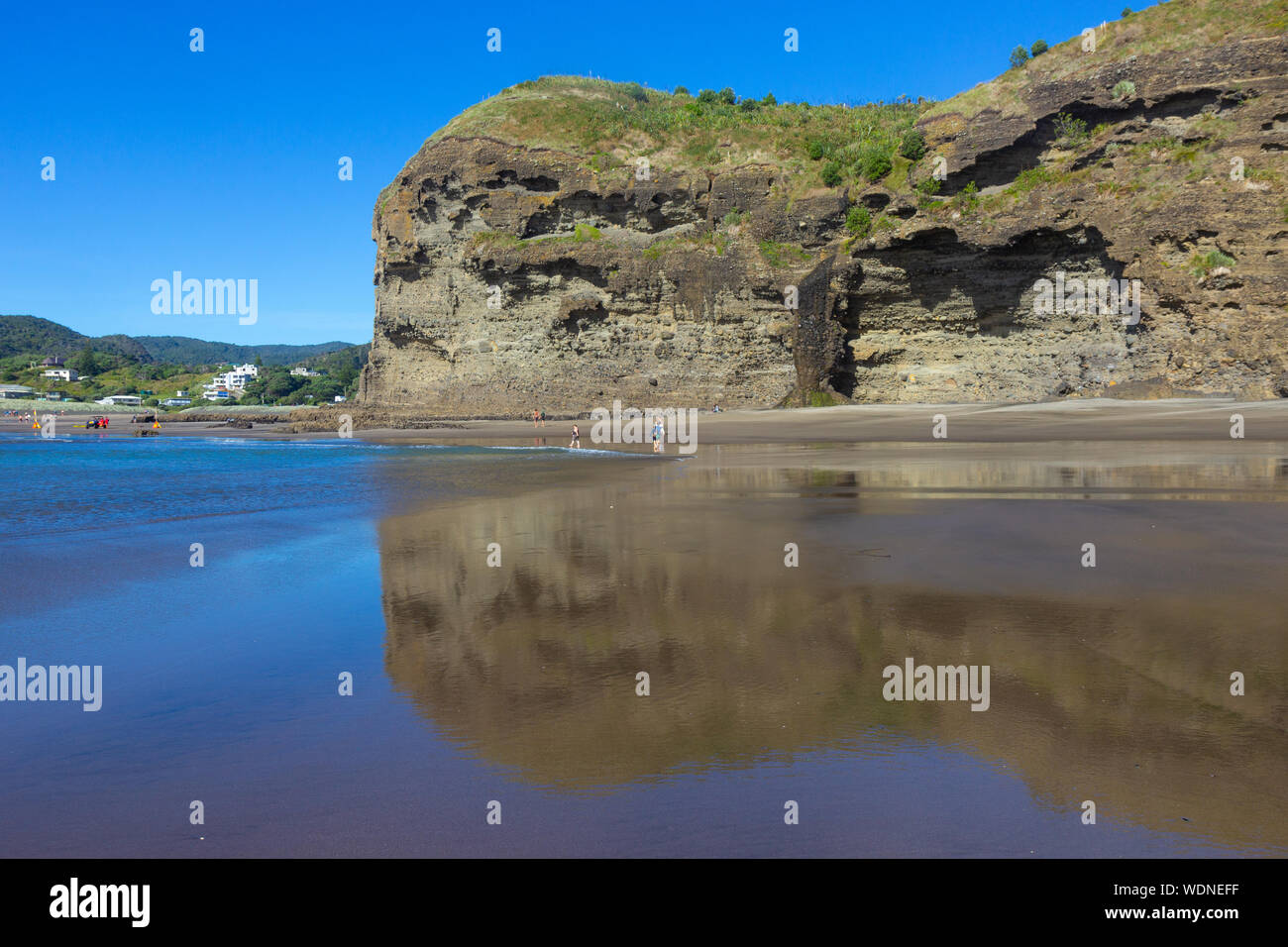 Blick auf sonnigen Piha Beach, Neuseeland Stockfoto