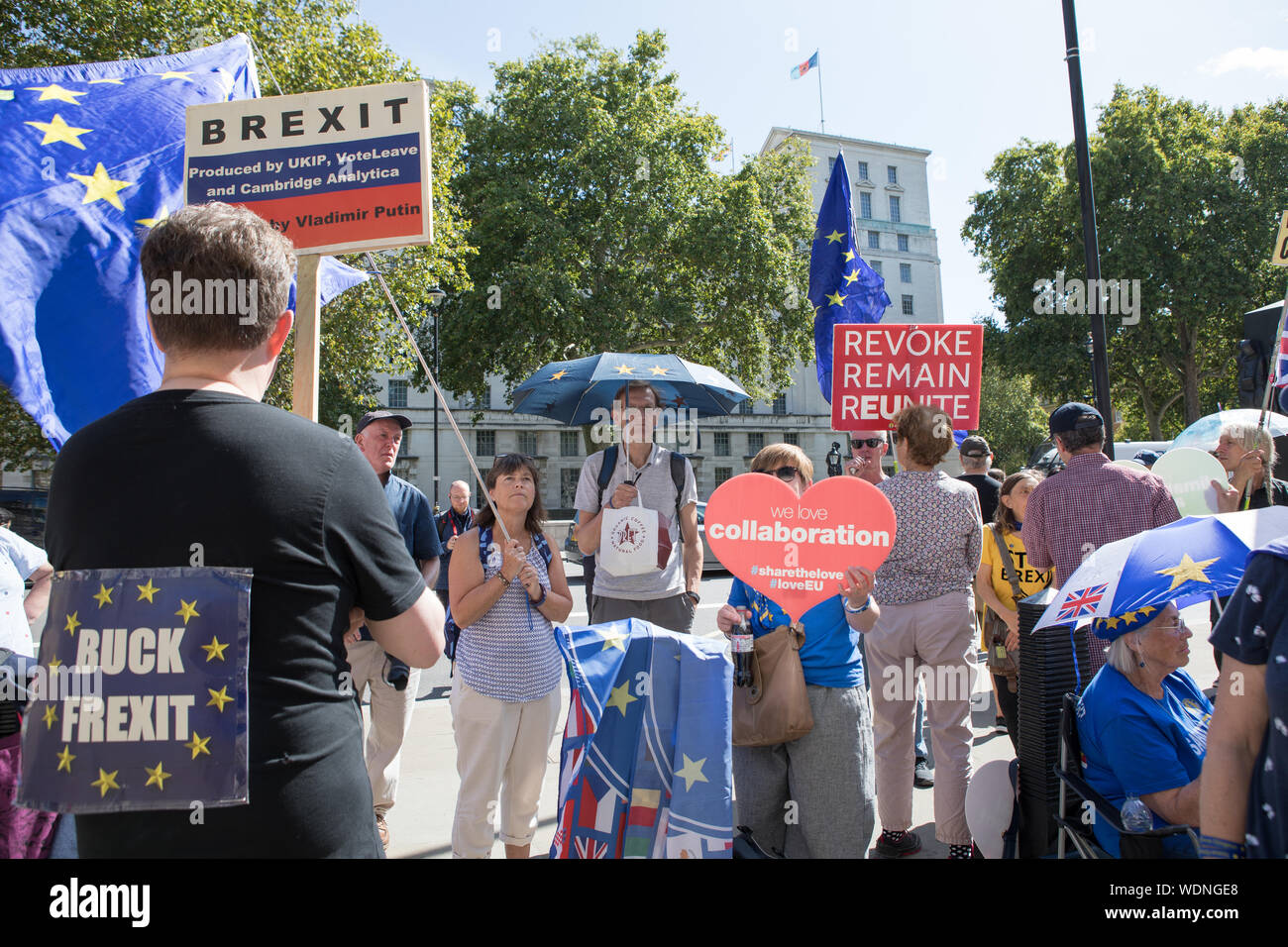 Westminster, London, Großbritannien. 29. August 2019. Pro-Europe Unterstützer demonstrieren außerhalb des Cabinet Office gegen Boris Johnson die Entscheidung des Parlaments für mehr als vier Wochen im September und Oktober auszusetzen. Der Premierminister hat die Königin bat das Parlament zu vertagen. Stockfoto