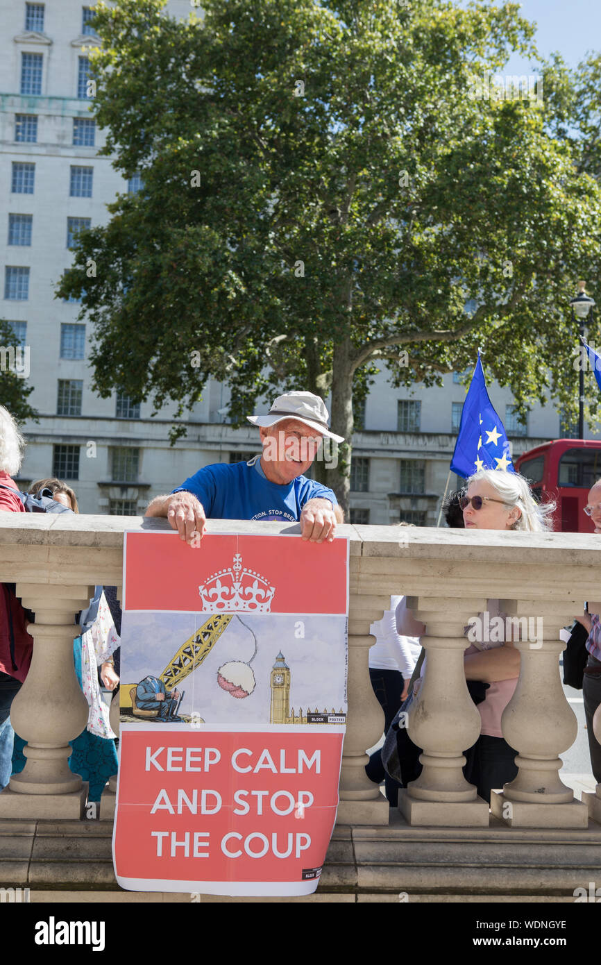 Westminster, London, Großbritannien. 29. August 2019. Pro-Europe Unterstützer demonstrieren außerhalb des Cabinet Office gegen Boris Johnson die Entscheidung des Parlaments für mehr als vier Wochen im September und Oktober auszusetzen. Der Premierminister hat die Königin bat das Parlament zu vertagen. Stockfoto
