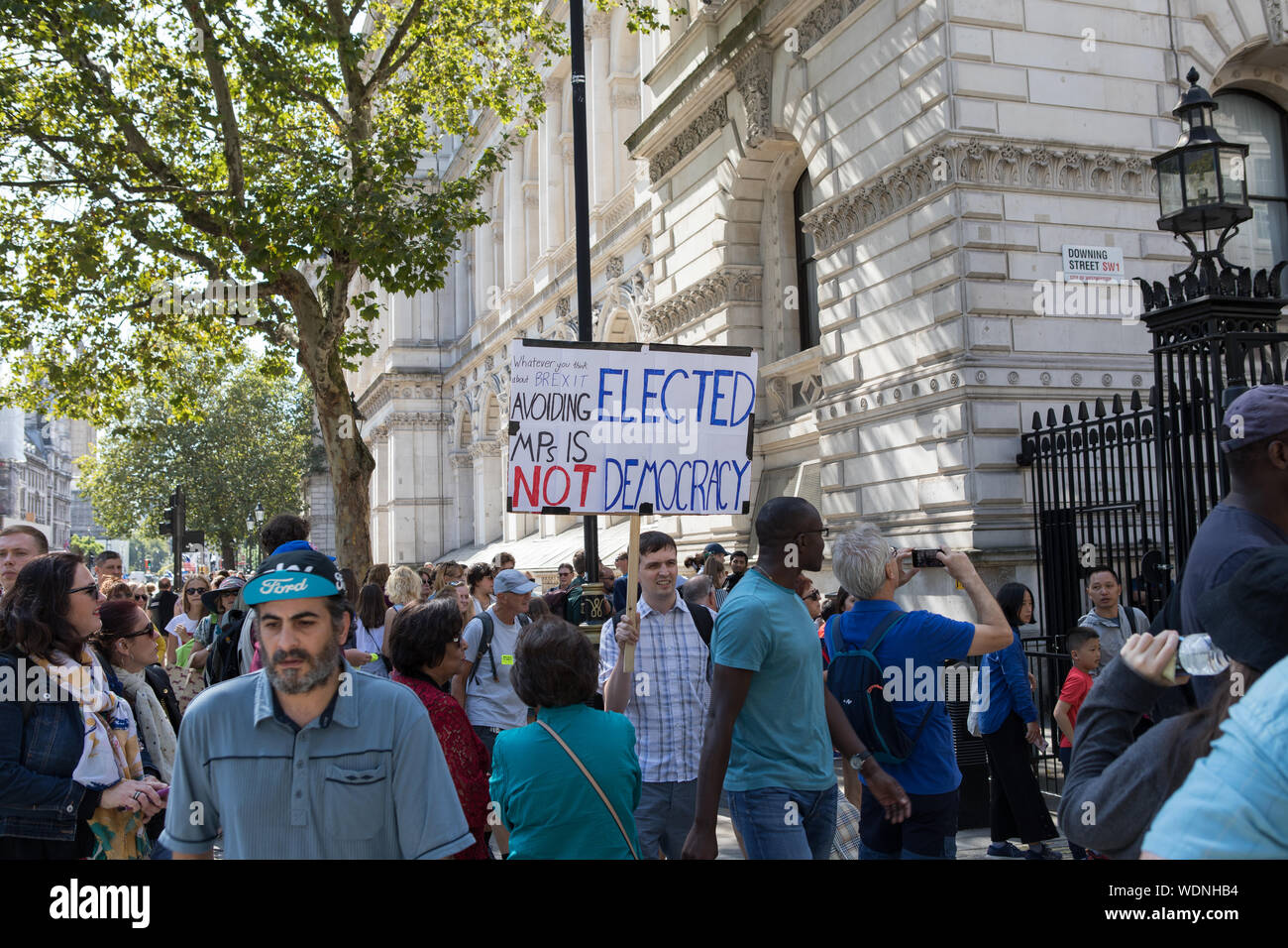 Westminster, London, Großbritannien. 29. August 2019. Pro-Europe Unterstützer demonstrieren außerhalb der Downing Street gegen Boris Johnson die Entscheidung des Parlaments für mehr als vier Wochen im September und Oktober auszusetzen. Der Premierminister hat die Königin bat das Parlament zu vertagen. Stockfoto