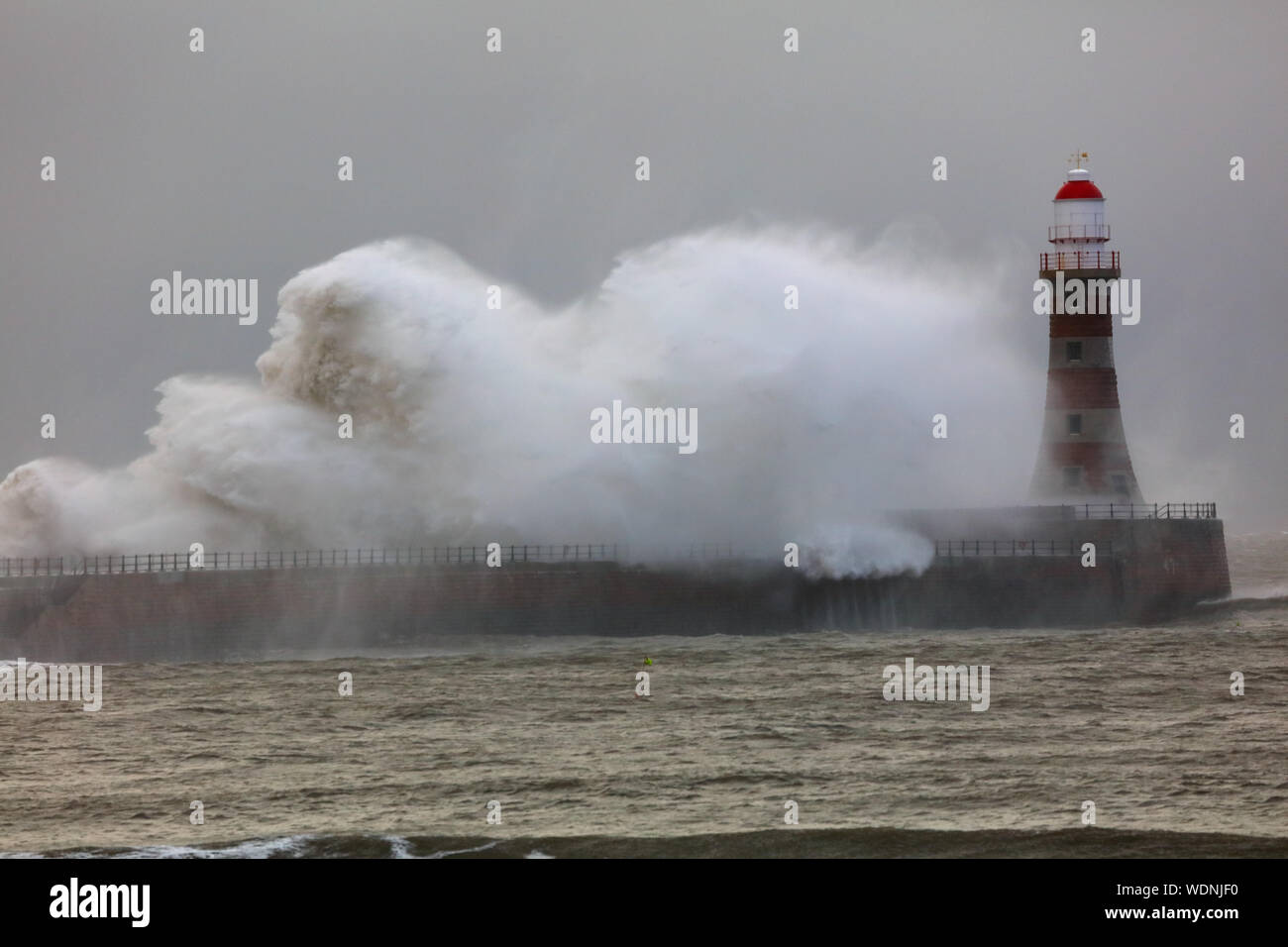 Sehr große Welle schlagen, das Meer Wand während einer Sturmflut in Sunderland, Tyne und Wear, England, Großbritannien Stockfoto