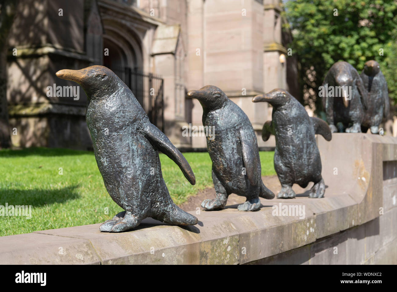 Eine Skulptur von Fünf Pinguine von Angela Jäger am Kirchturm Kirche in Dundee Stockfoto