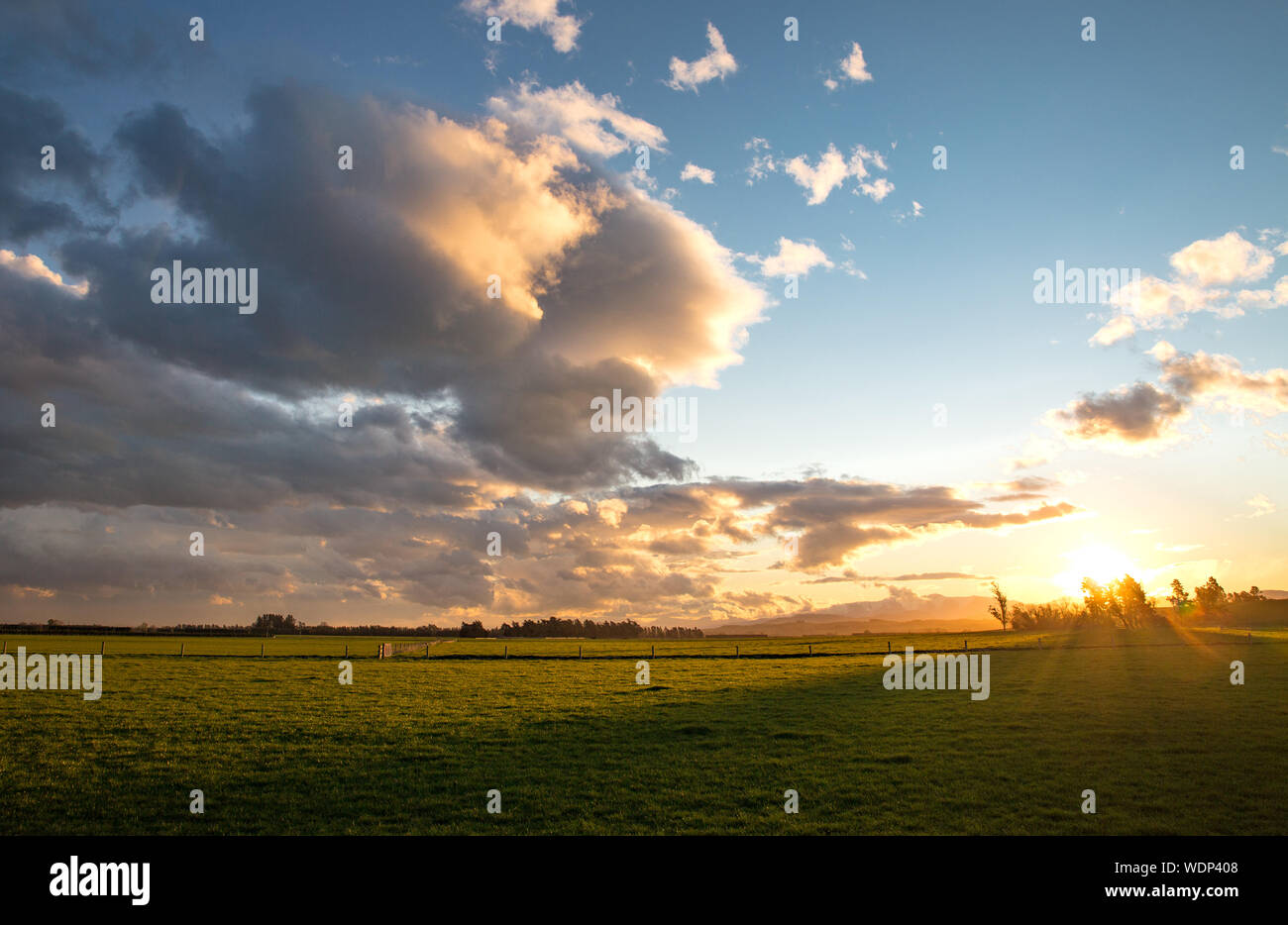 Die Ansicht entlang einer ländlichen Canterbury Straße über Ackerland bei Sonnenuntergang, Neuseeland Stockfoto