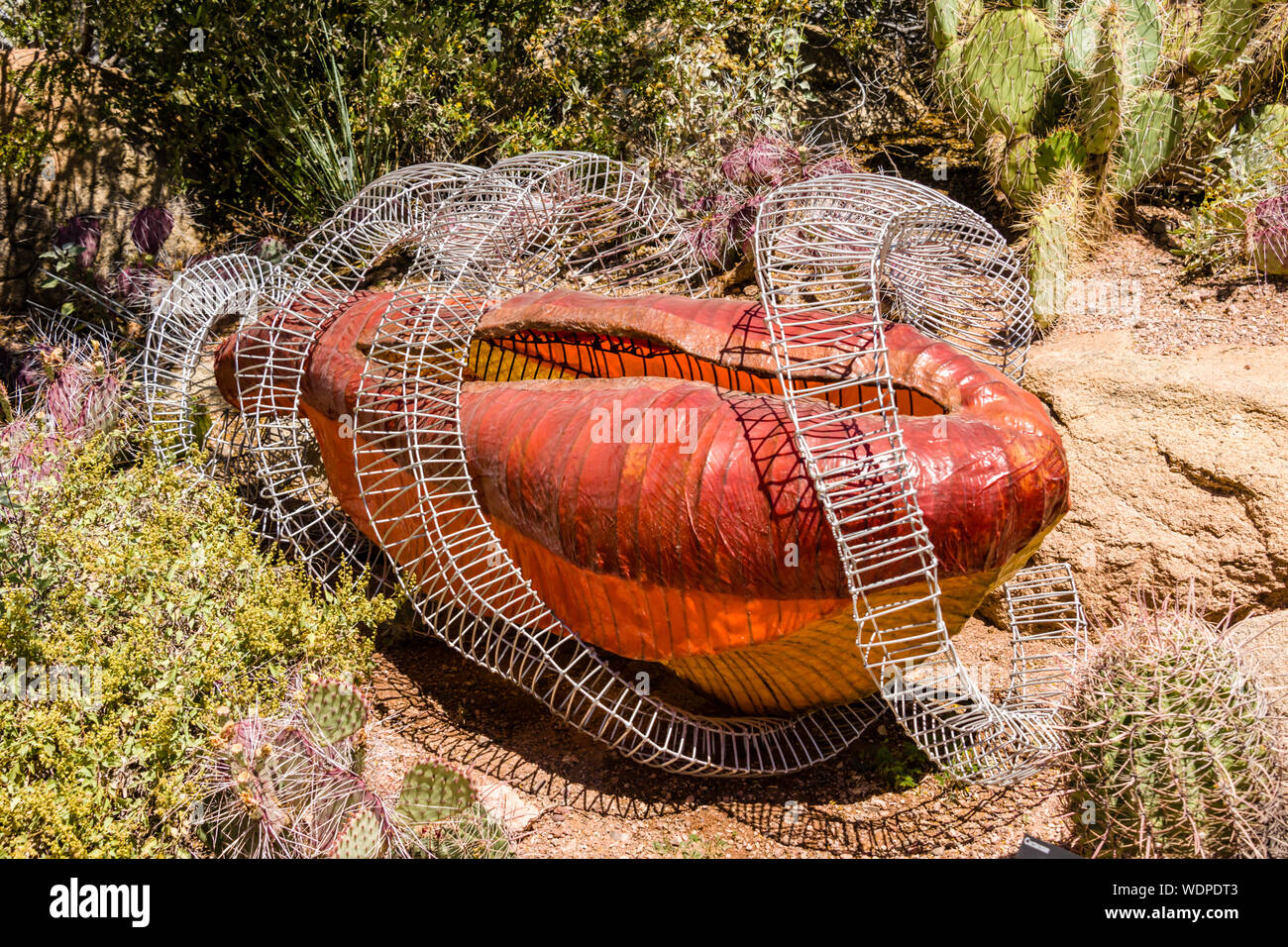 Desert Botanical Garden Carolina Escobar Skulptur Stockfoto