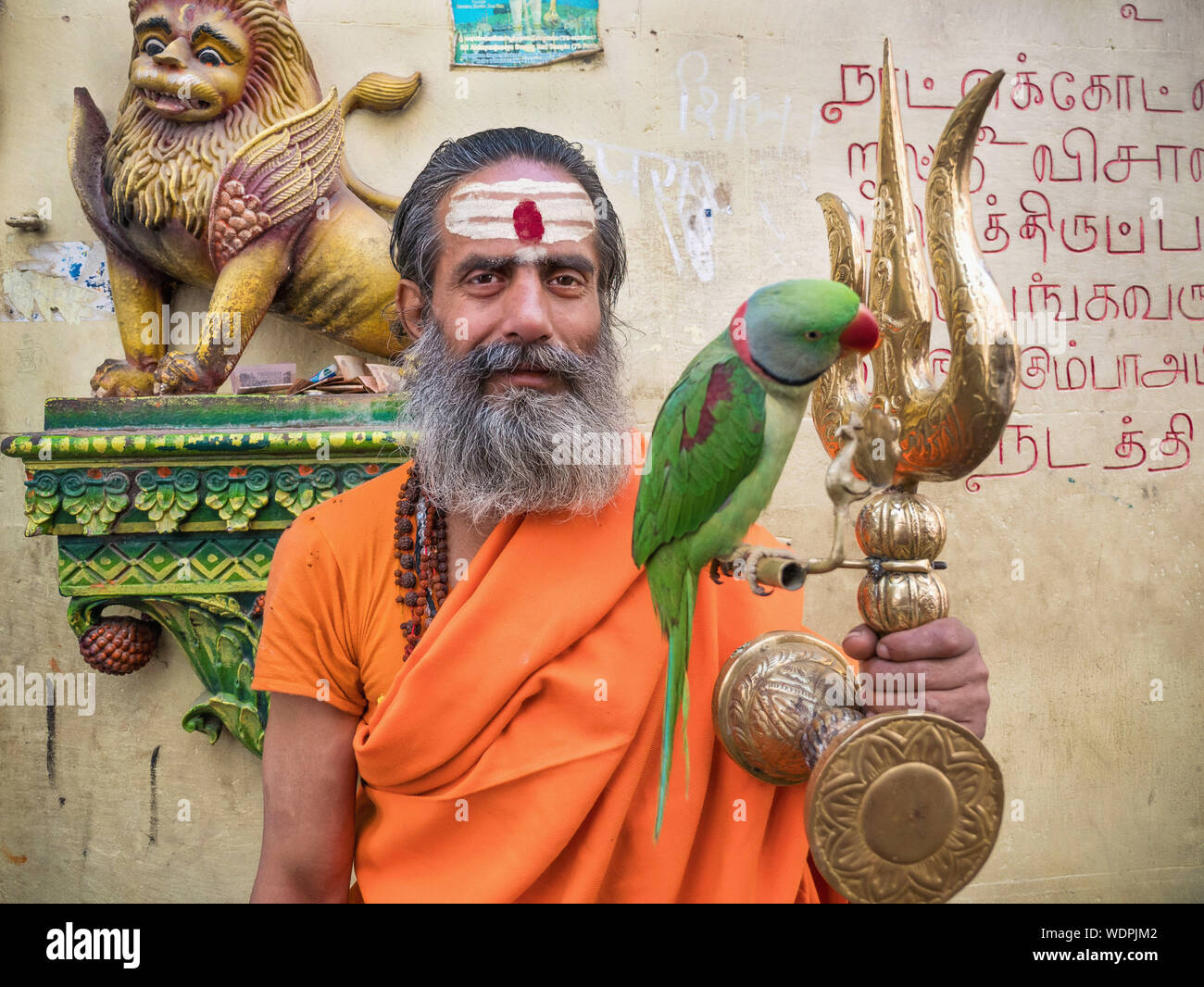 Indisch-hinduistischen Sadhus heiligen Mann mit einem goldenen Dreizack und Green Parrot in Varanasi, Uttar Pradesh, Indien, Asien Stockfoto