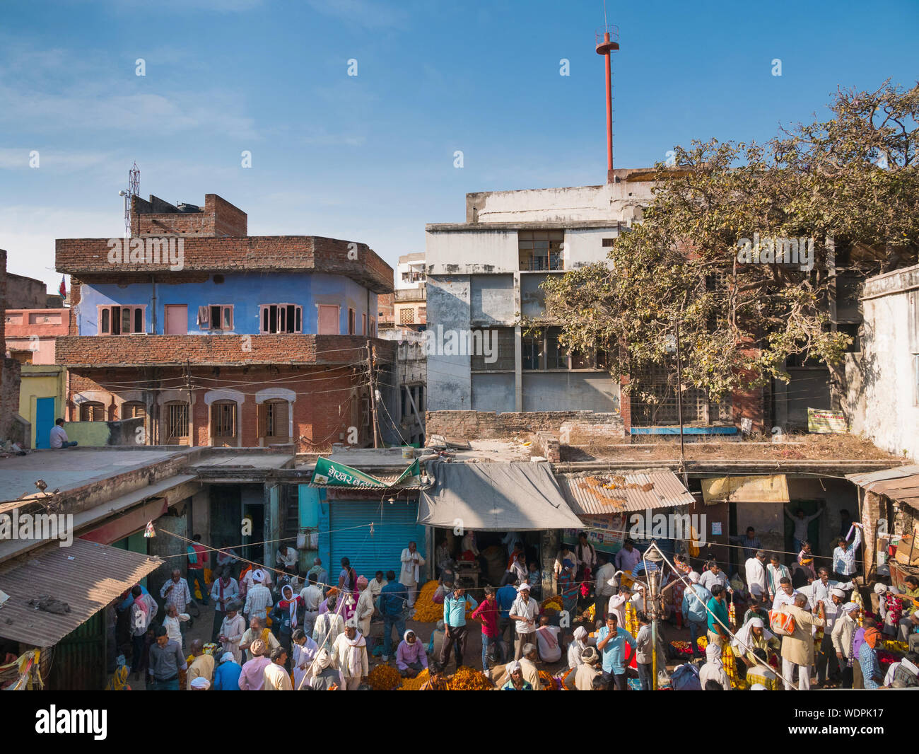 Bansphatak Blumenmarkt in Varanasi, Uttar Pradesh, Indien, Asien Stockfoto