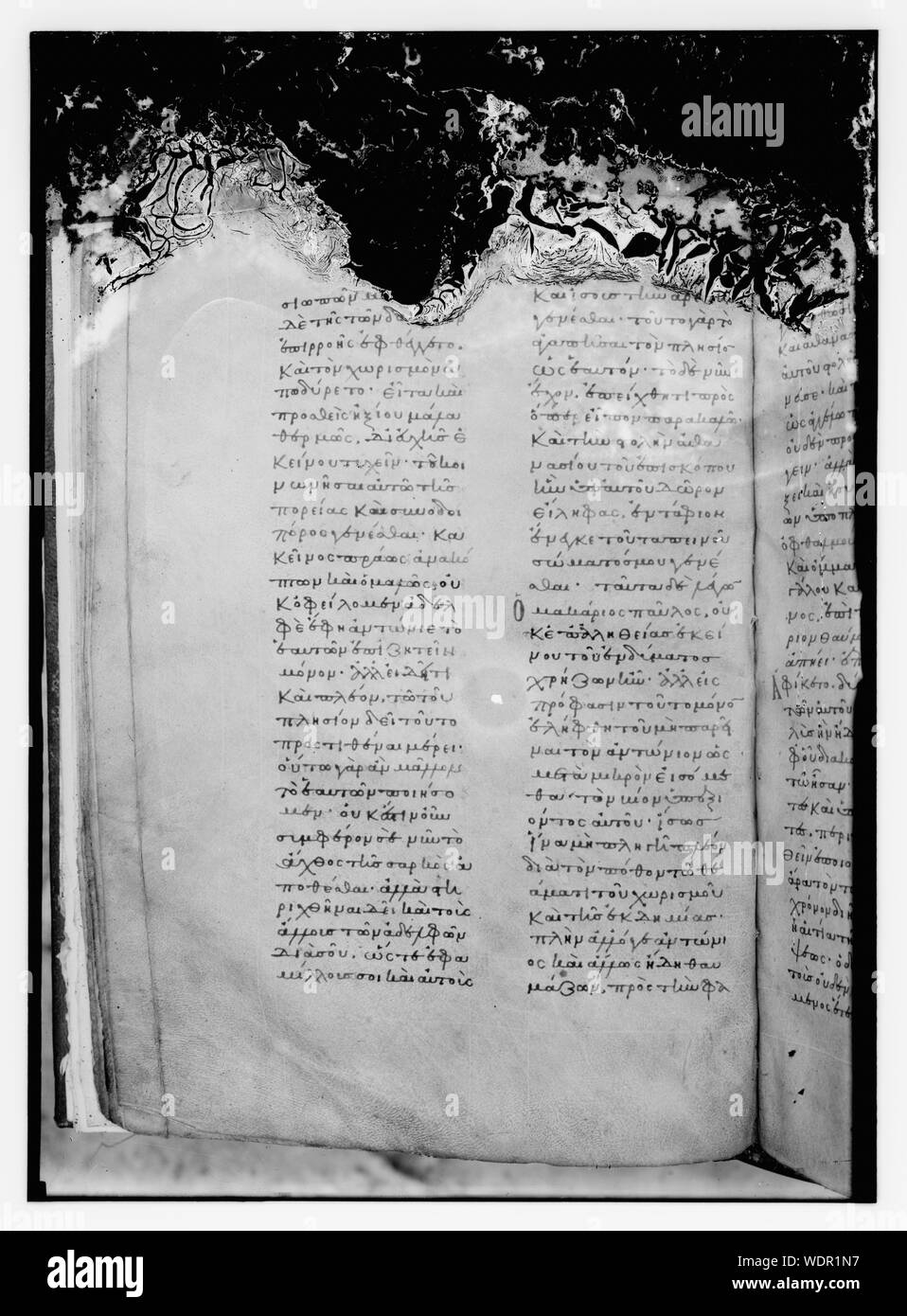 Griechische MSS [d. h., Manuskript] Abstract / Medium: G. Eric und Edith Matson Fotosammlung Stockfoto