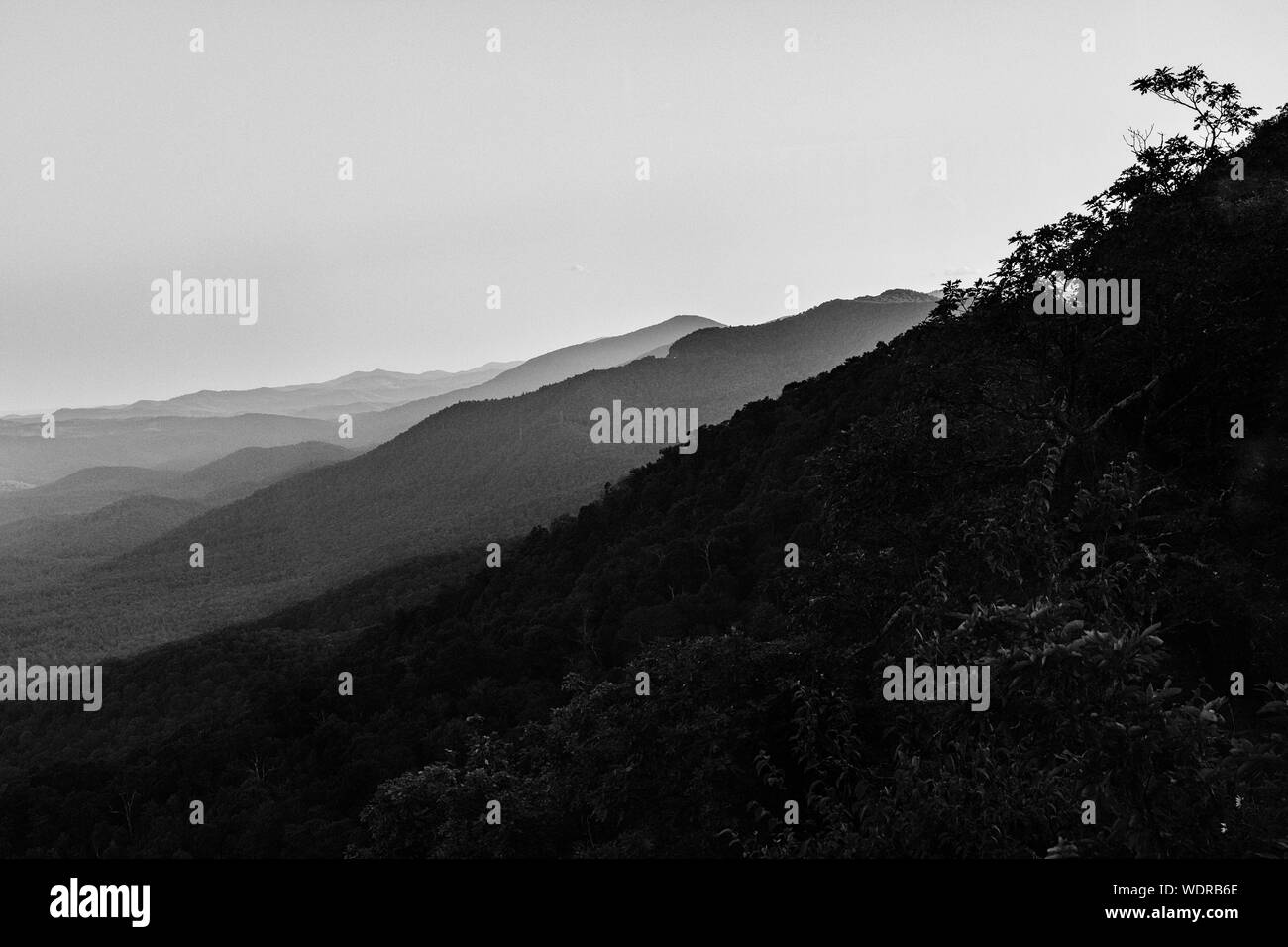 Sumac (Århus) ist auf einem Bergrücken Silhouette, von der Pisgah Inn auf dem Blue Ridge Parkway in Waynesville, NC, USA gesehen Stockfoto