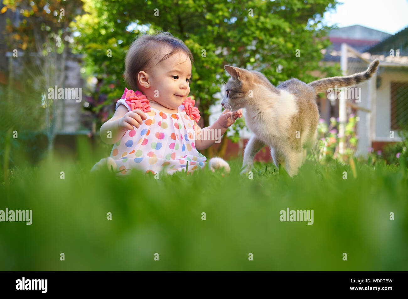 Baby girl Interaktion mit Katze auf natürliche Park Hintergrund Stockfoto